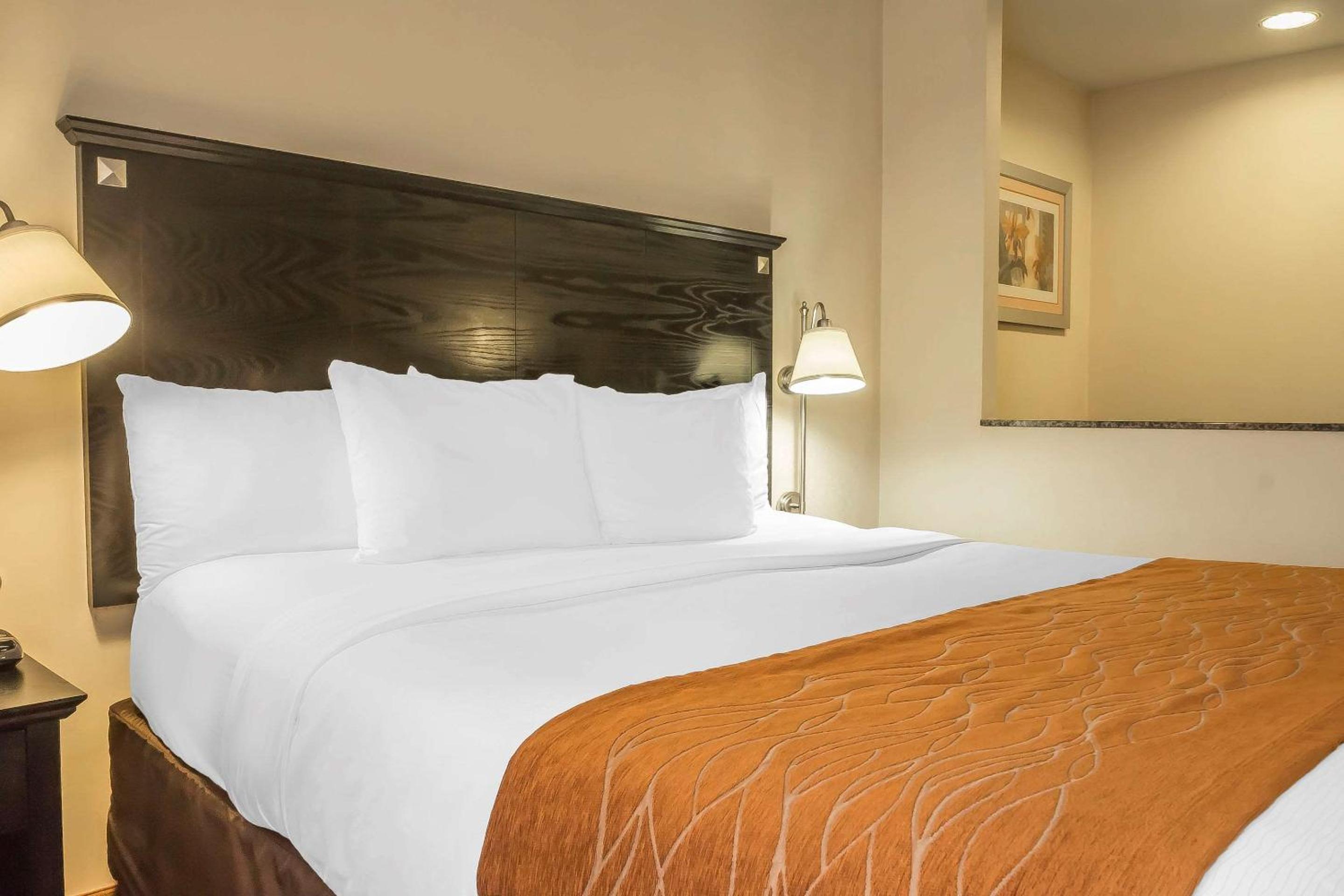 Suite with King Bed - Photo 5
