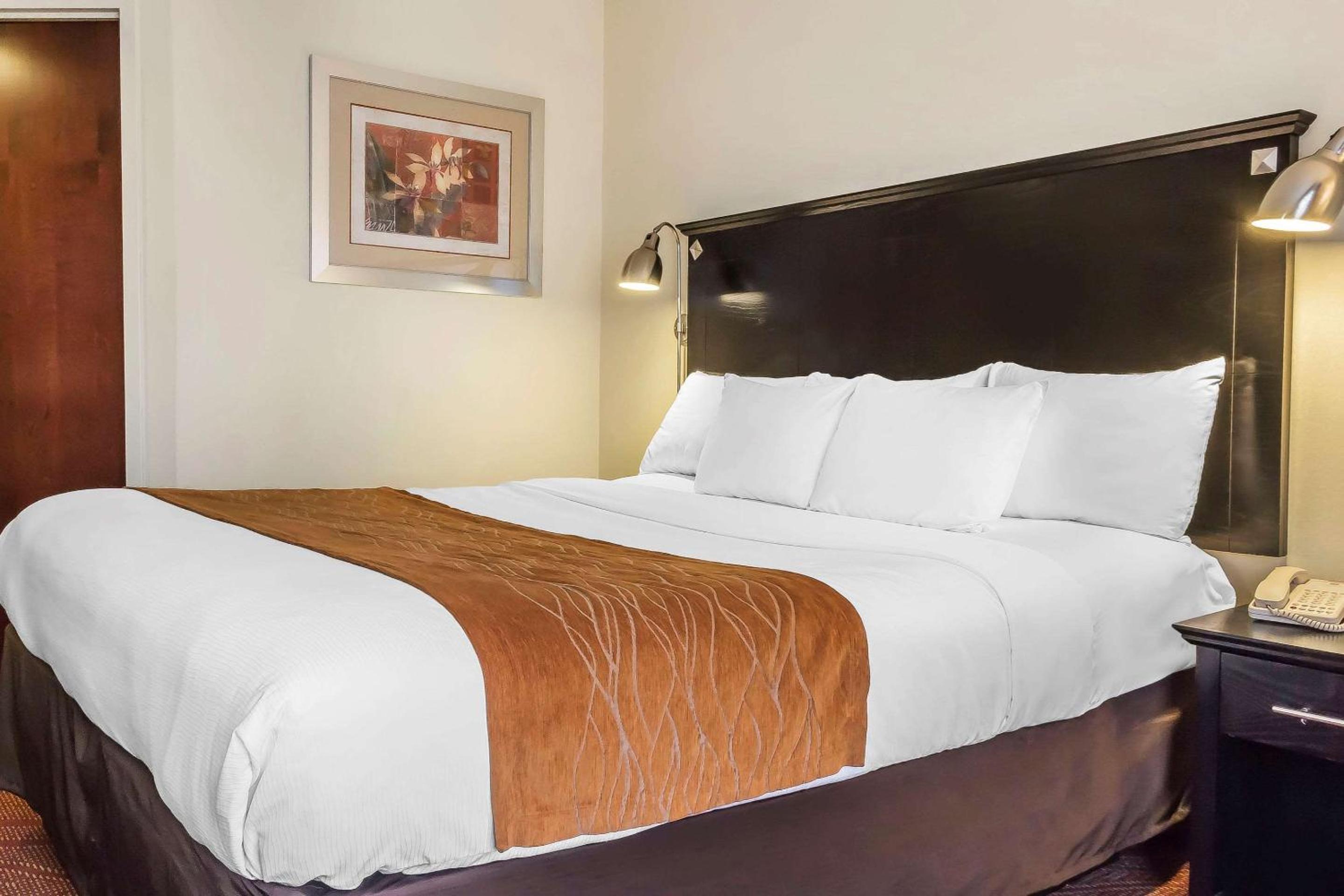 King Room - Disability Access - Photo 4