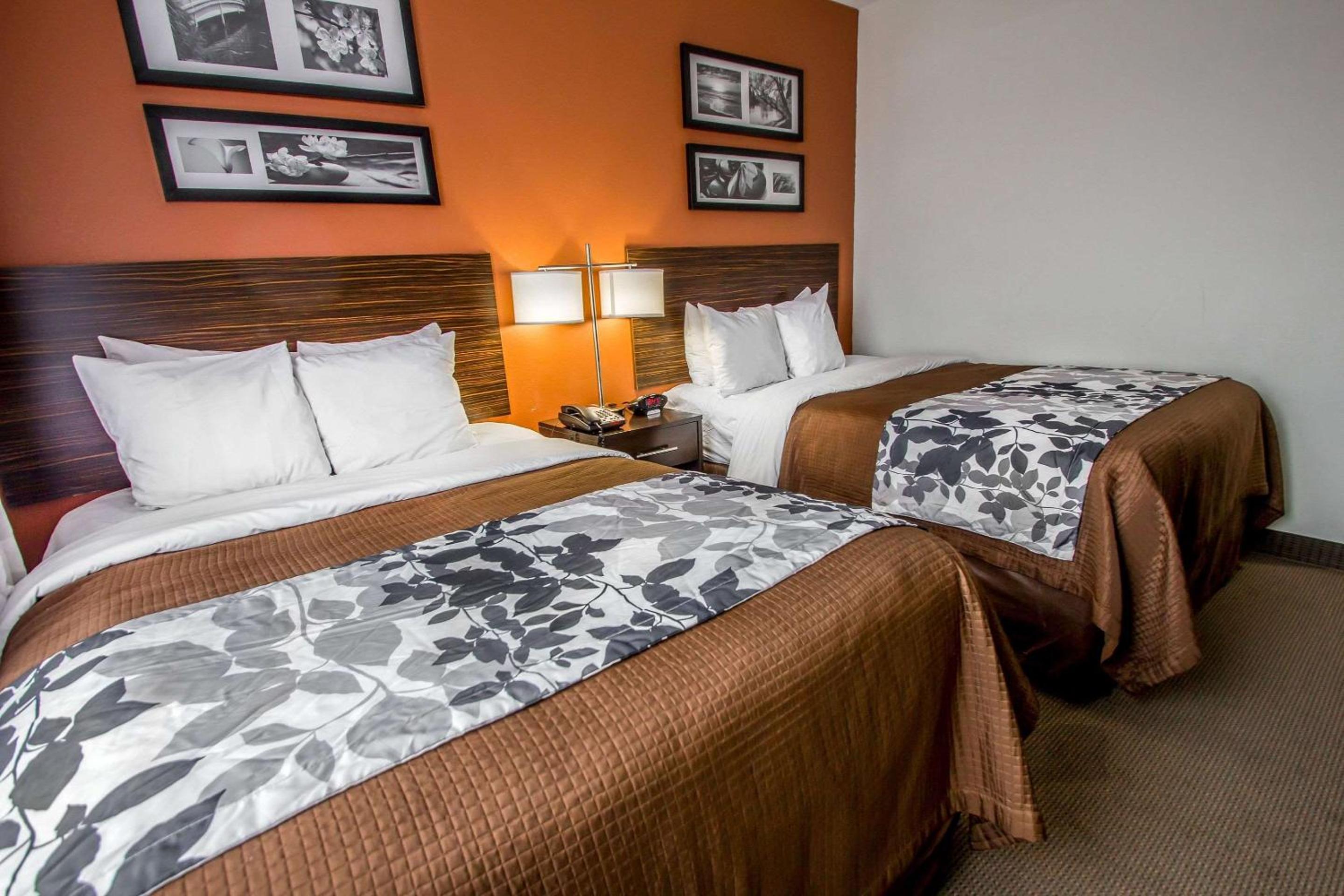 Double Room with Two Double Beds photo 2