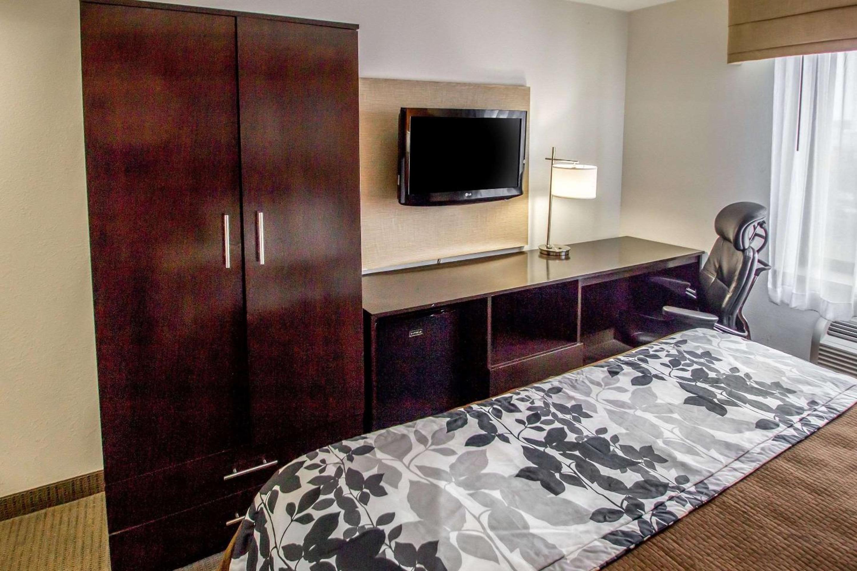 King Room photo 2