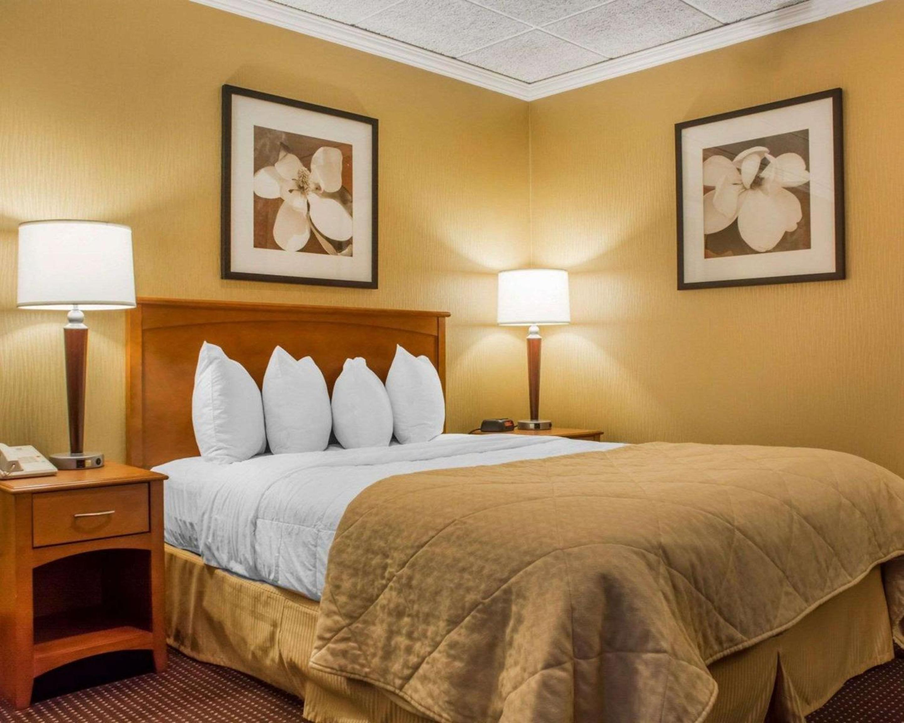Queen Room - Disability Access photo 1
