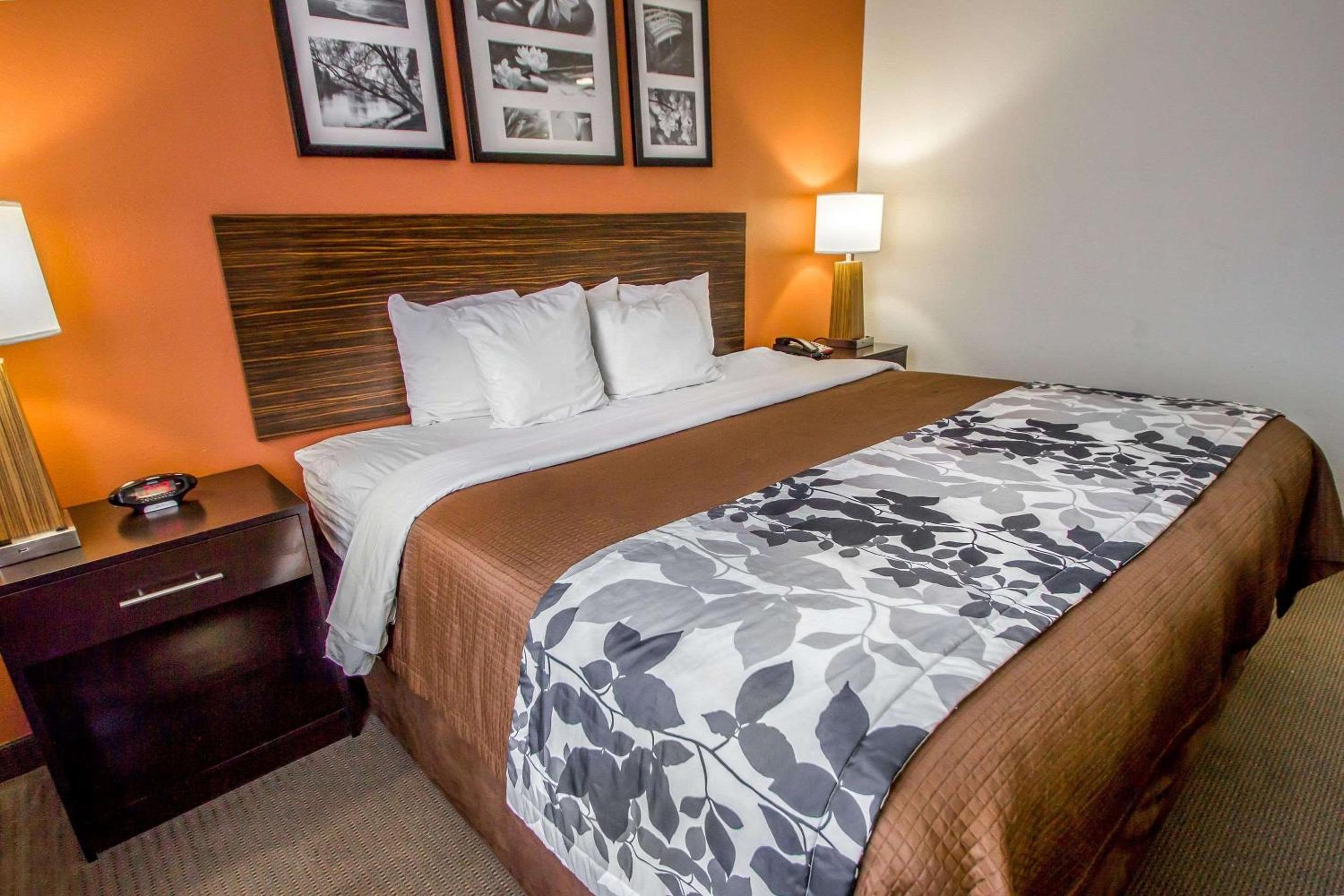 King Room photo 3