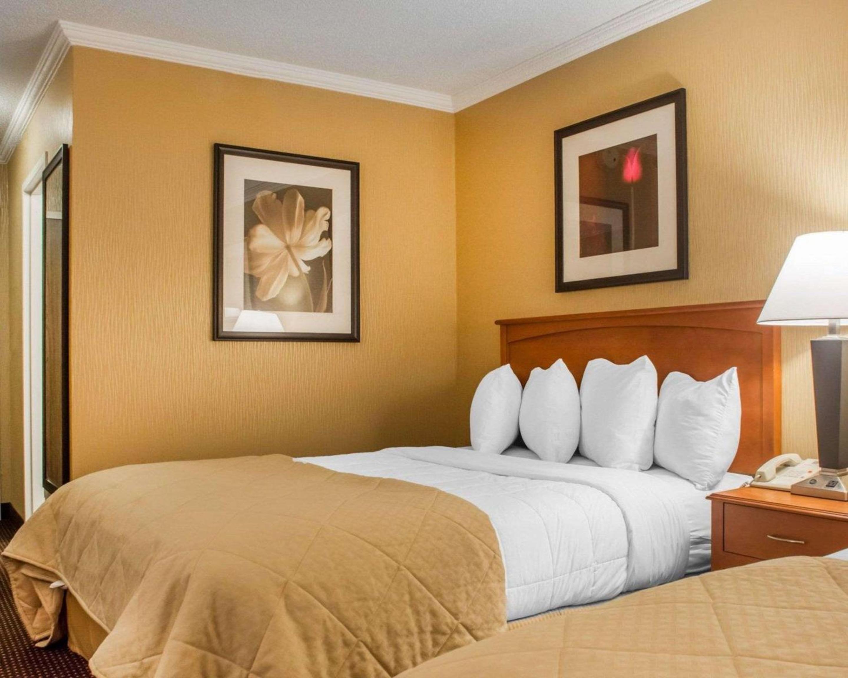 Queen Room with Two Queen Beds - Pets Allowed photo 3