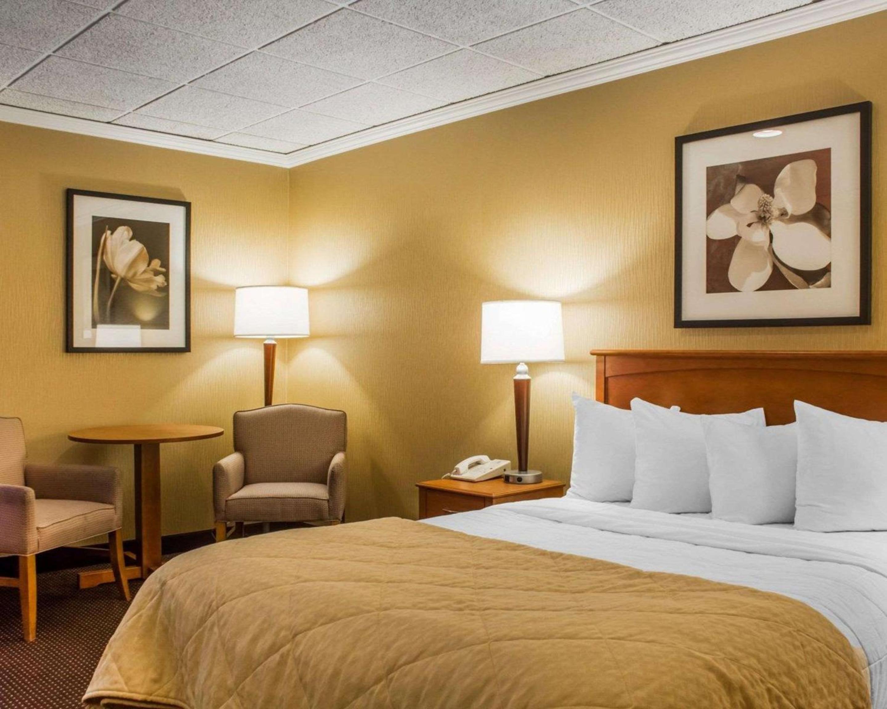 Queen Room - Disability Access photo 2