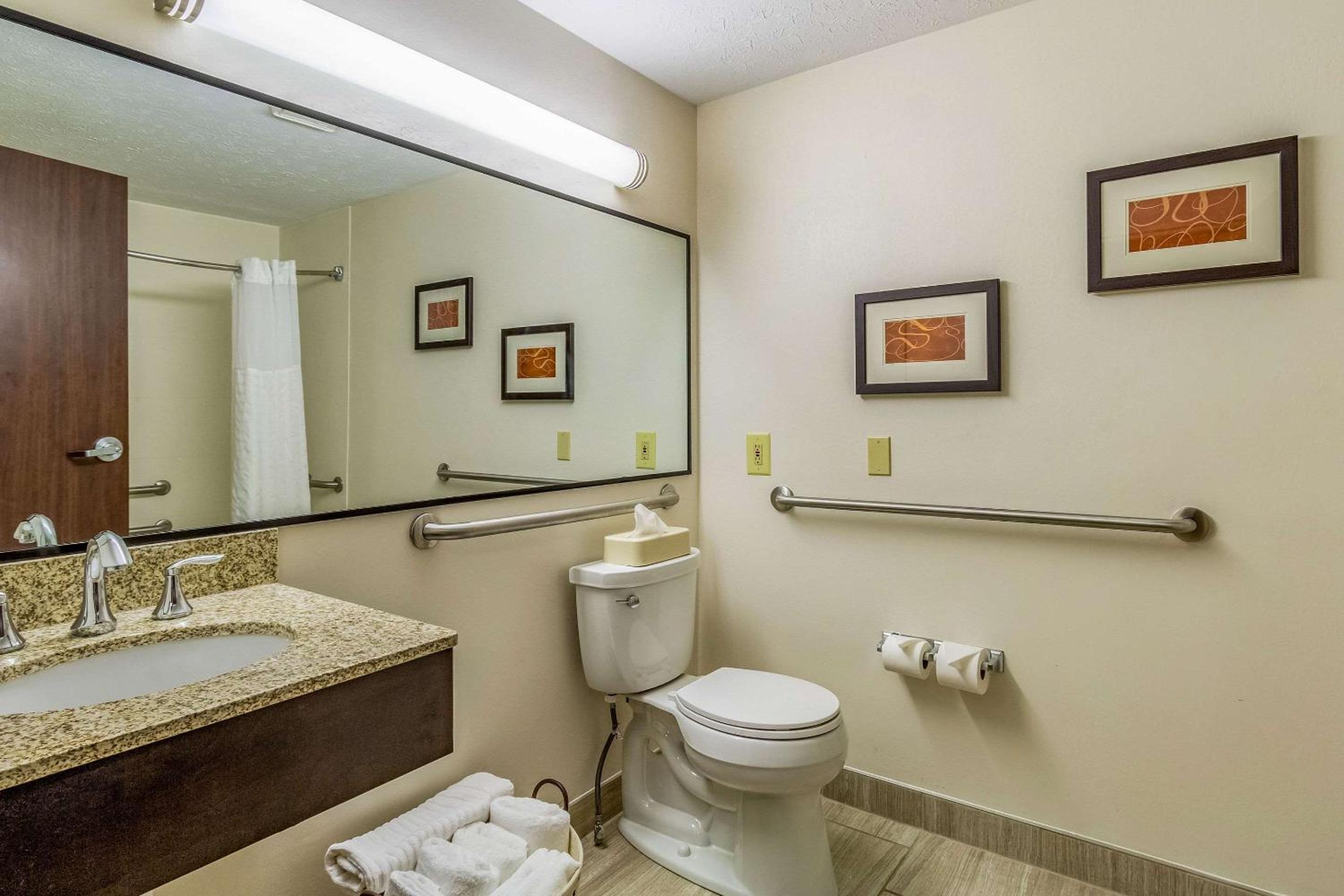 King Room with Roll-In Shower - Accessible/Non-Smoking - Photo 2