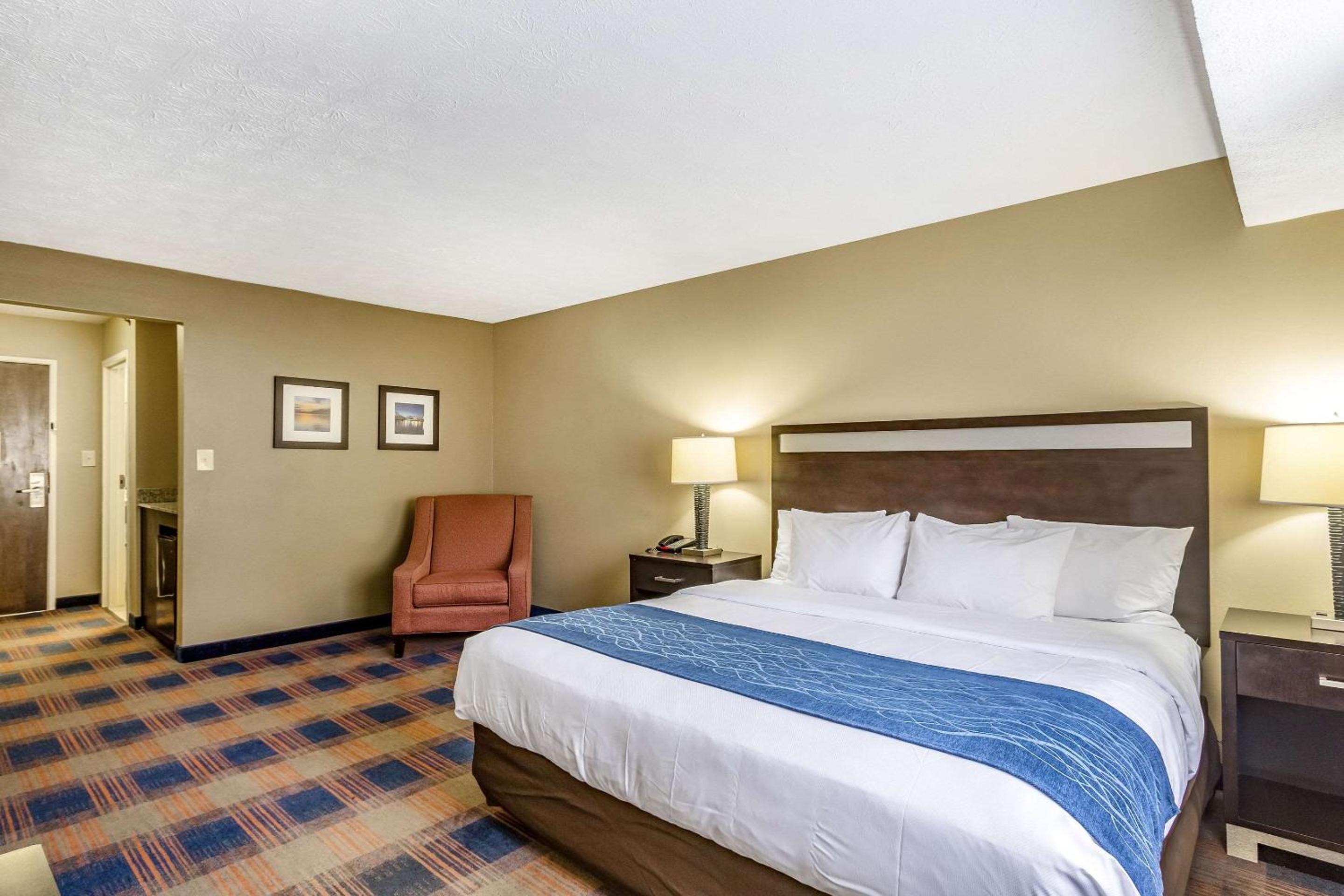 King Room with Roll-In Shower - Accessible/Non-Smoking - Photo 1