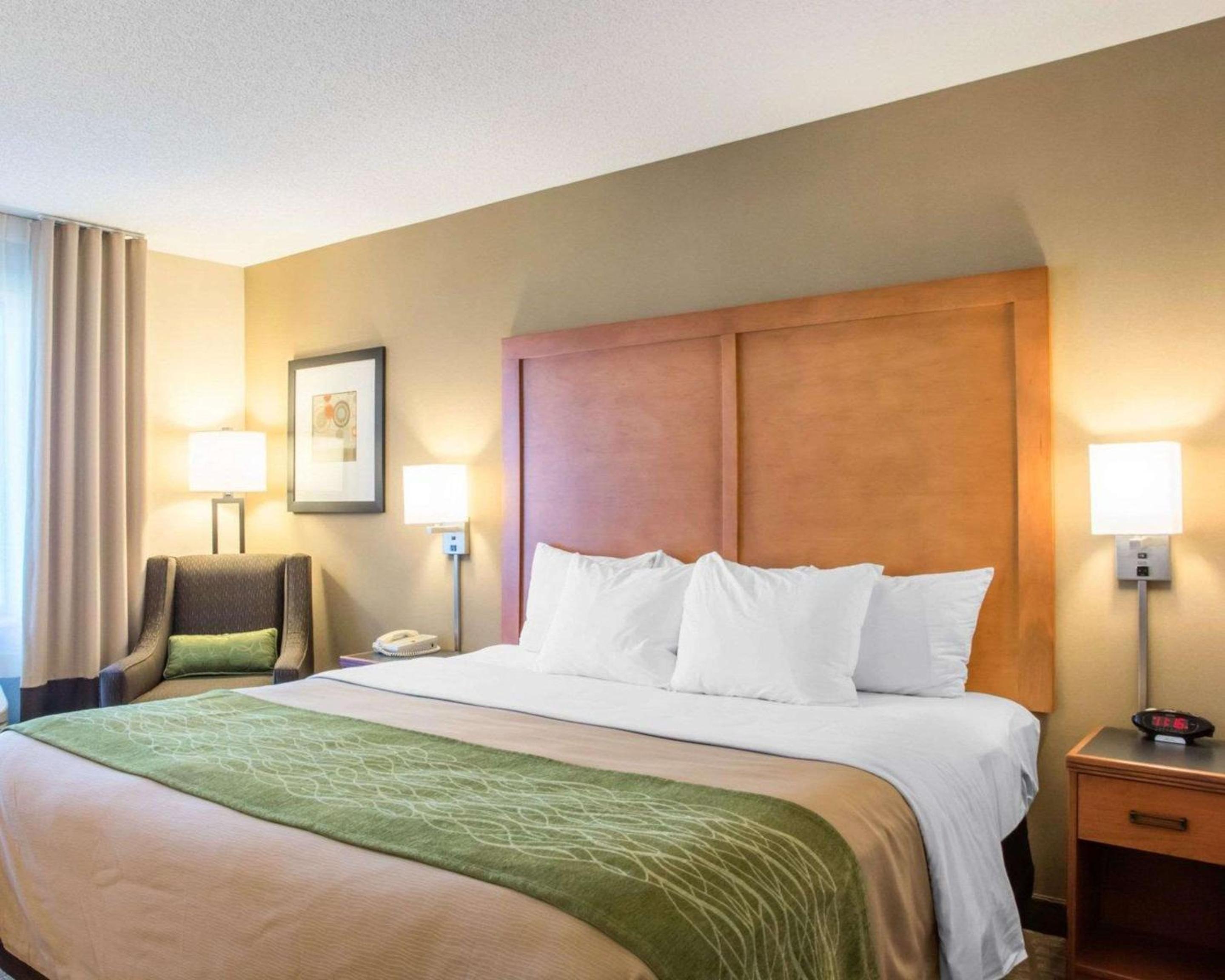 King Suite - Photo 8