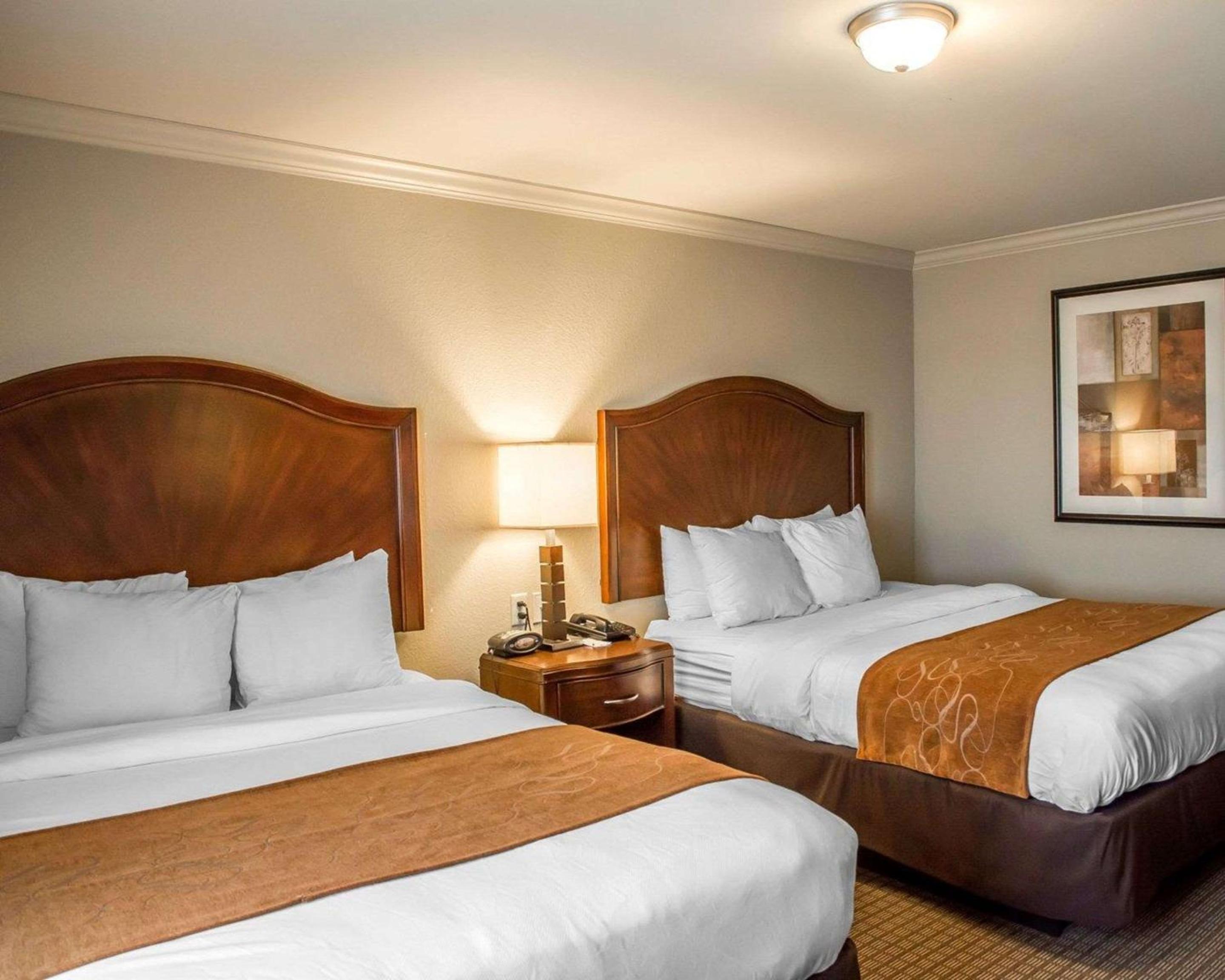 Queen Suite - Disability Access/Non-Smoking photo 3