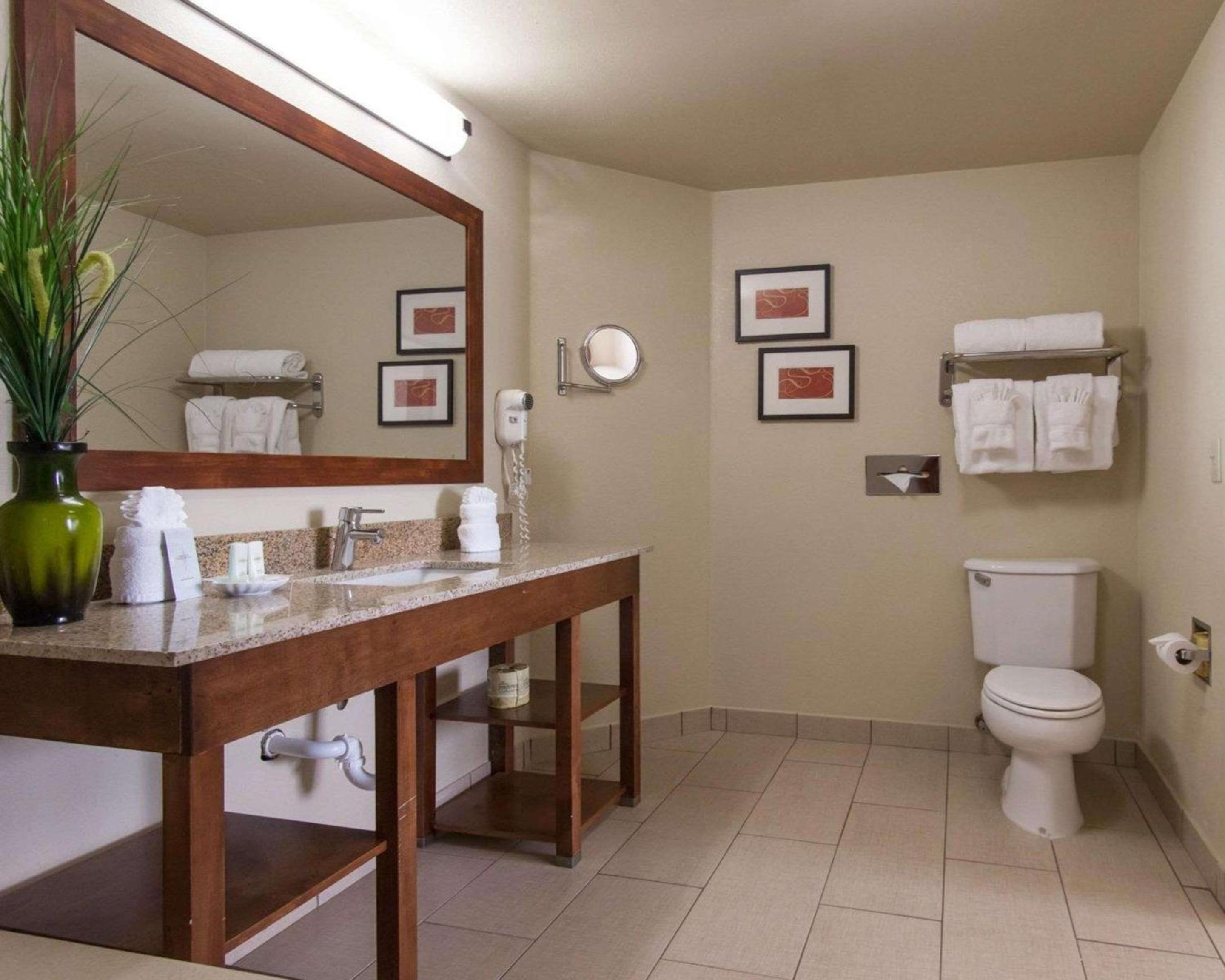 Standard King Suite - Photo 15