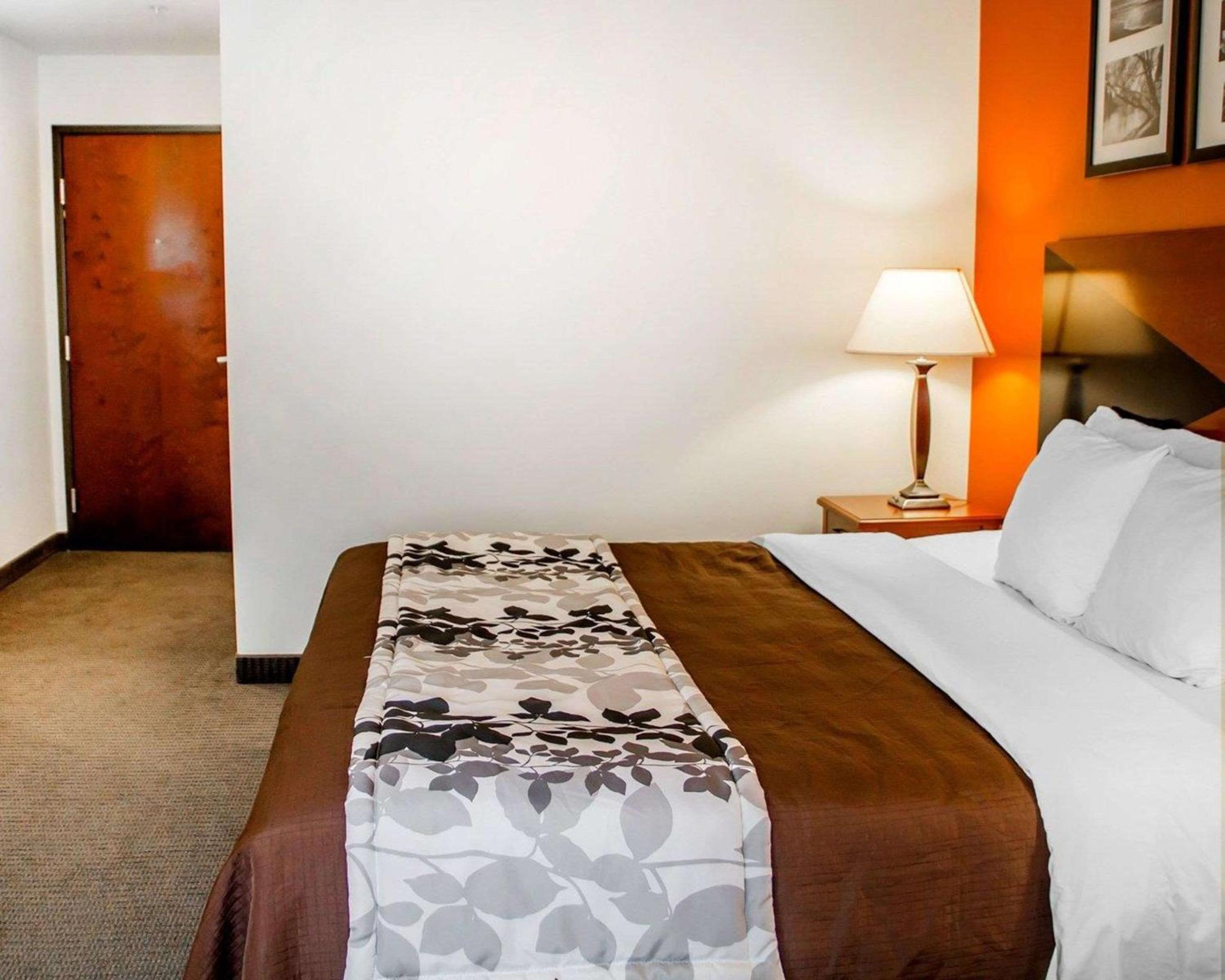 King Room - Non-Smoking - Photo 2