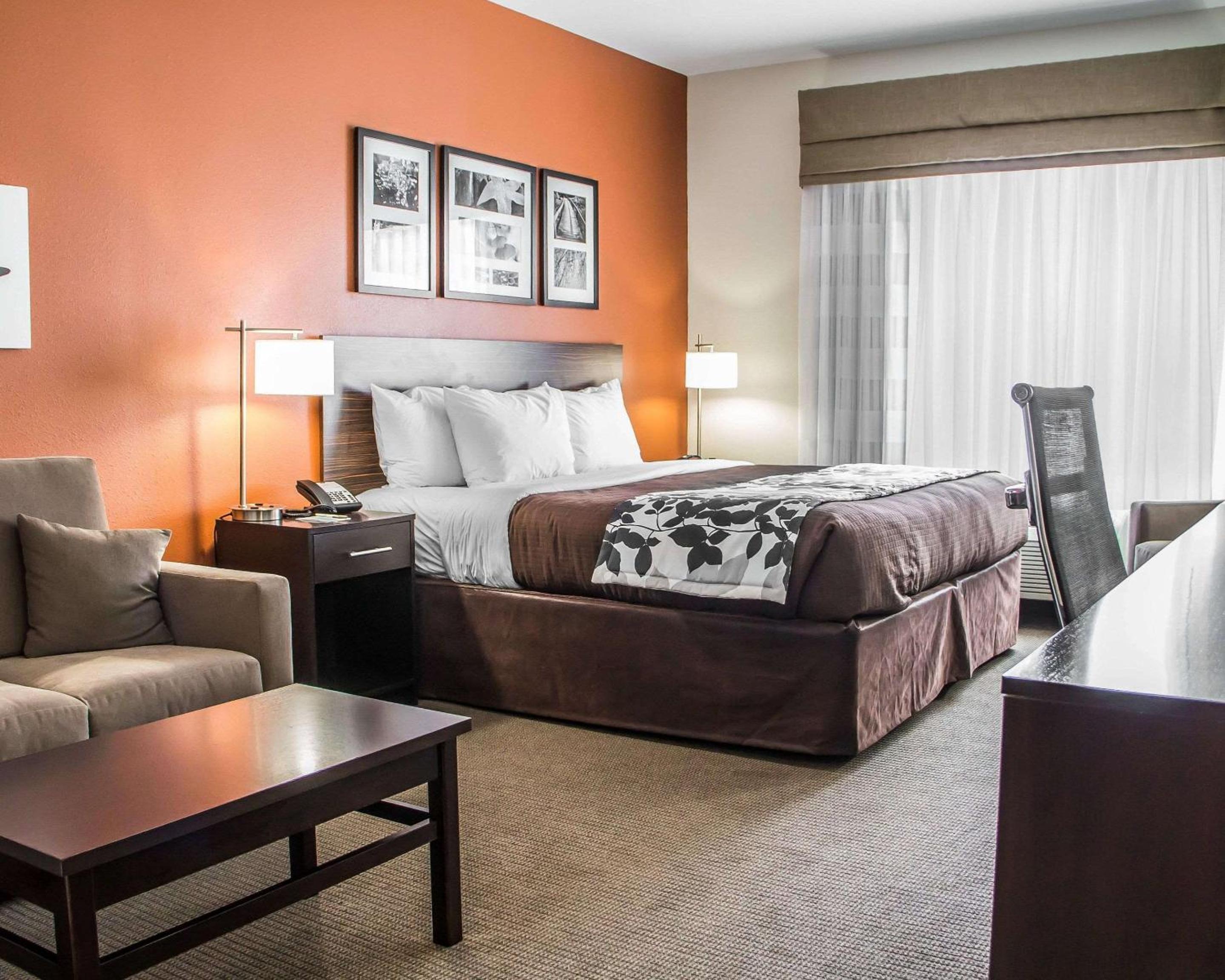 King Suite - Accessible/Non-Smoking photo 1