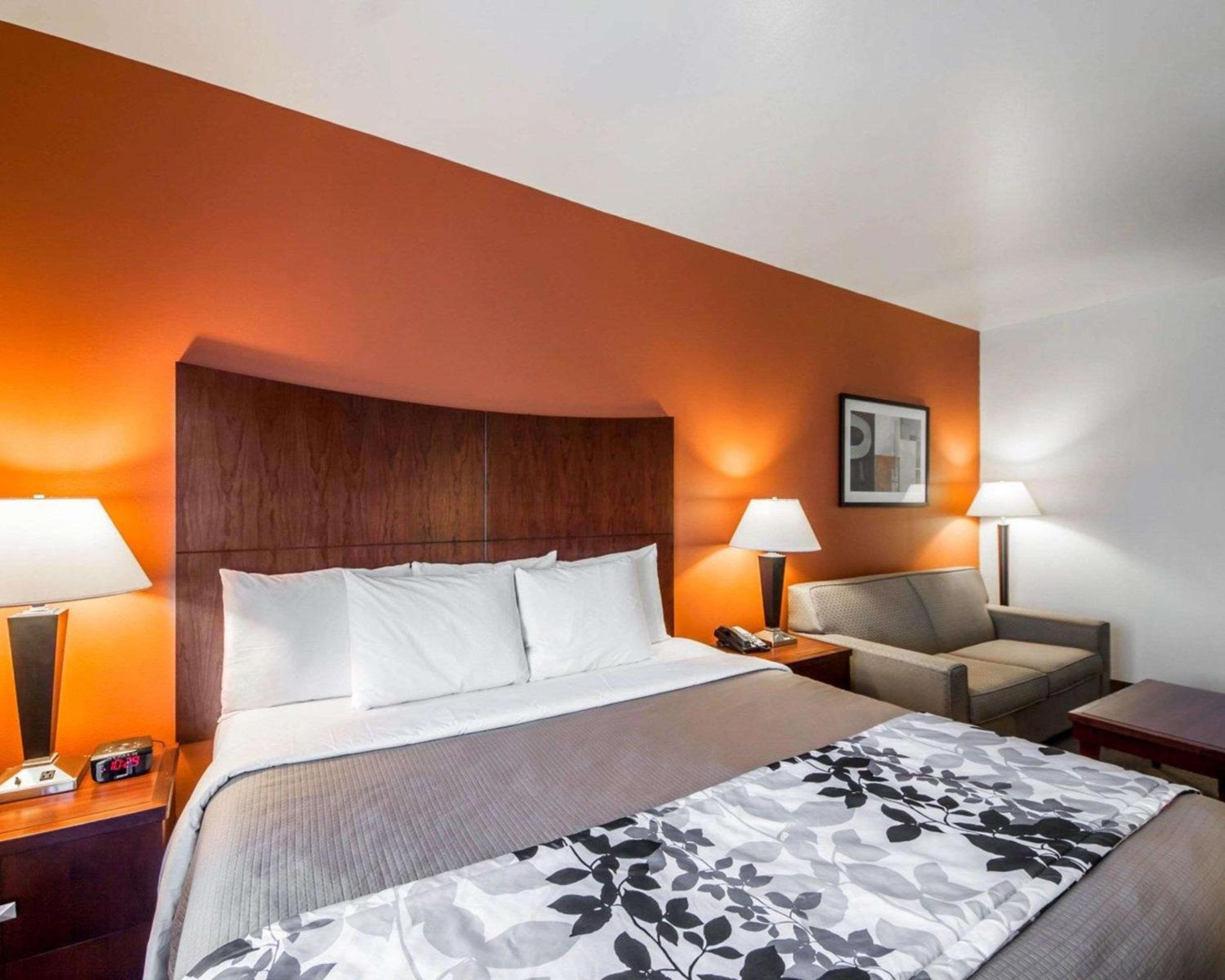 King Suite - Non-Smoking - Photo 1