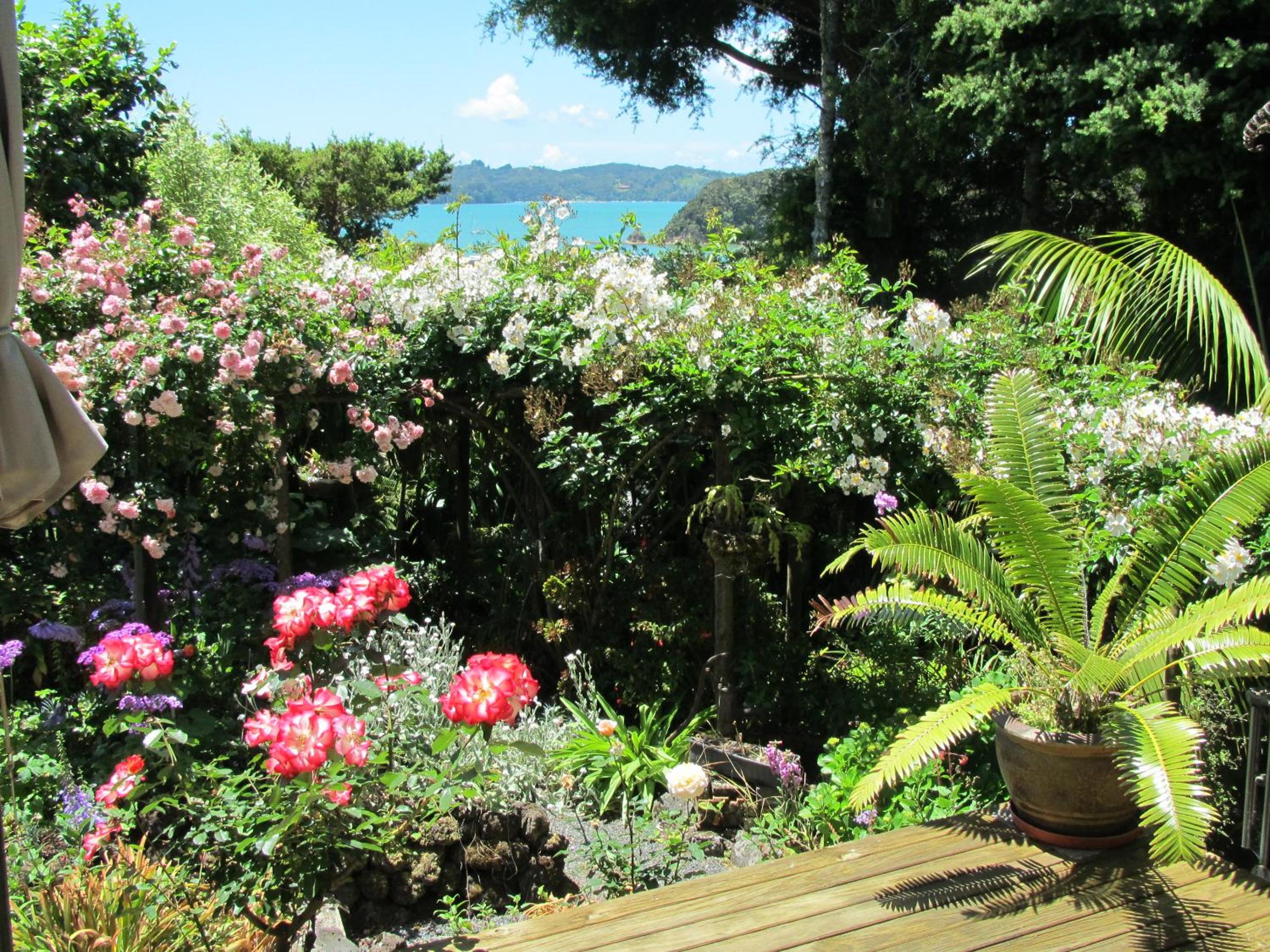 Garden Suite photo 2
