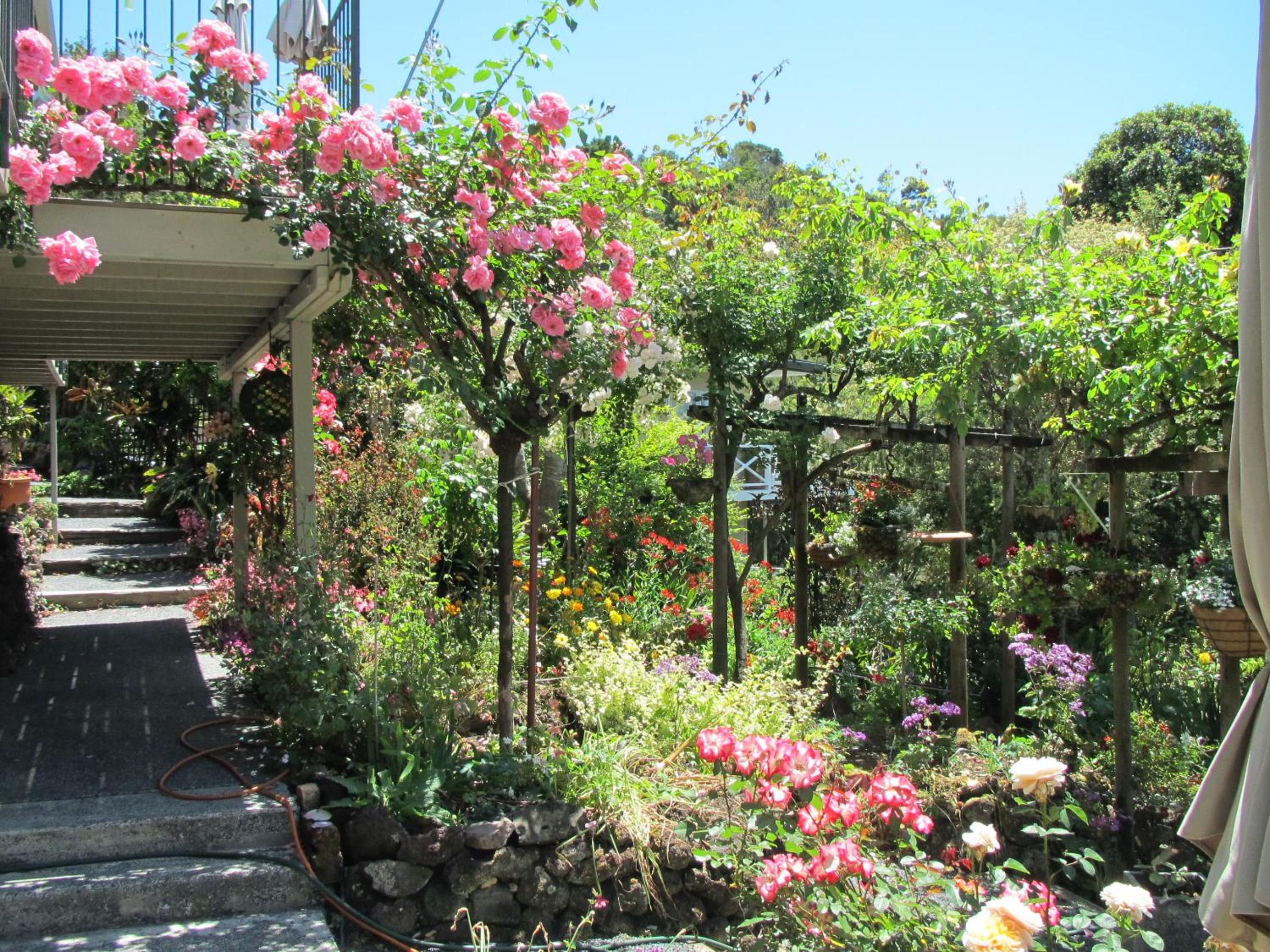 Garden Suite photo 1