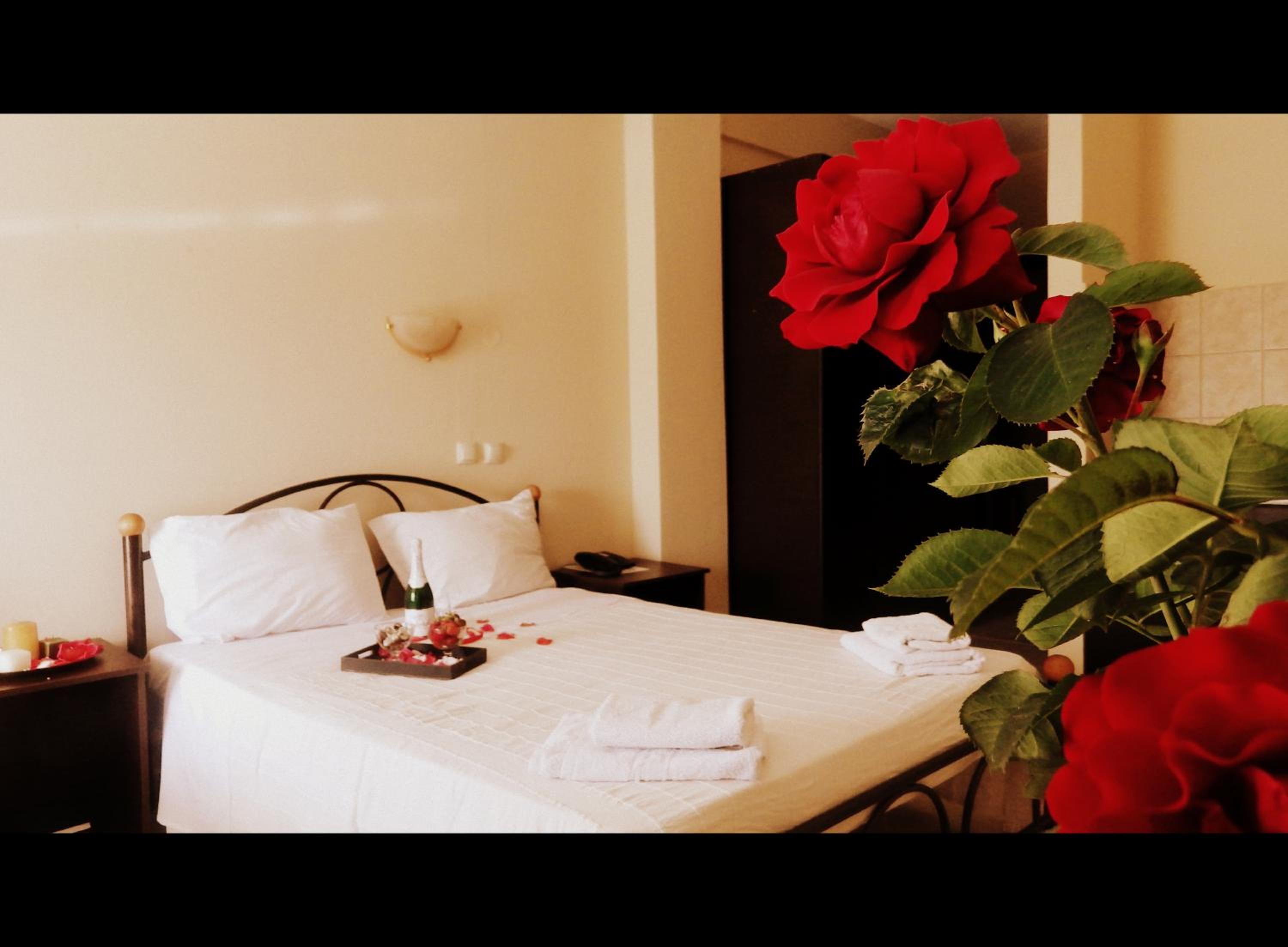 Twin Room - Photo 9