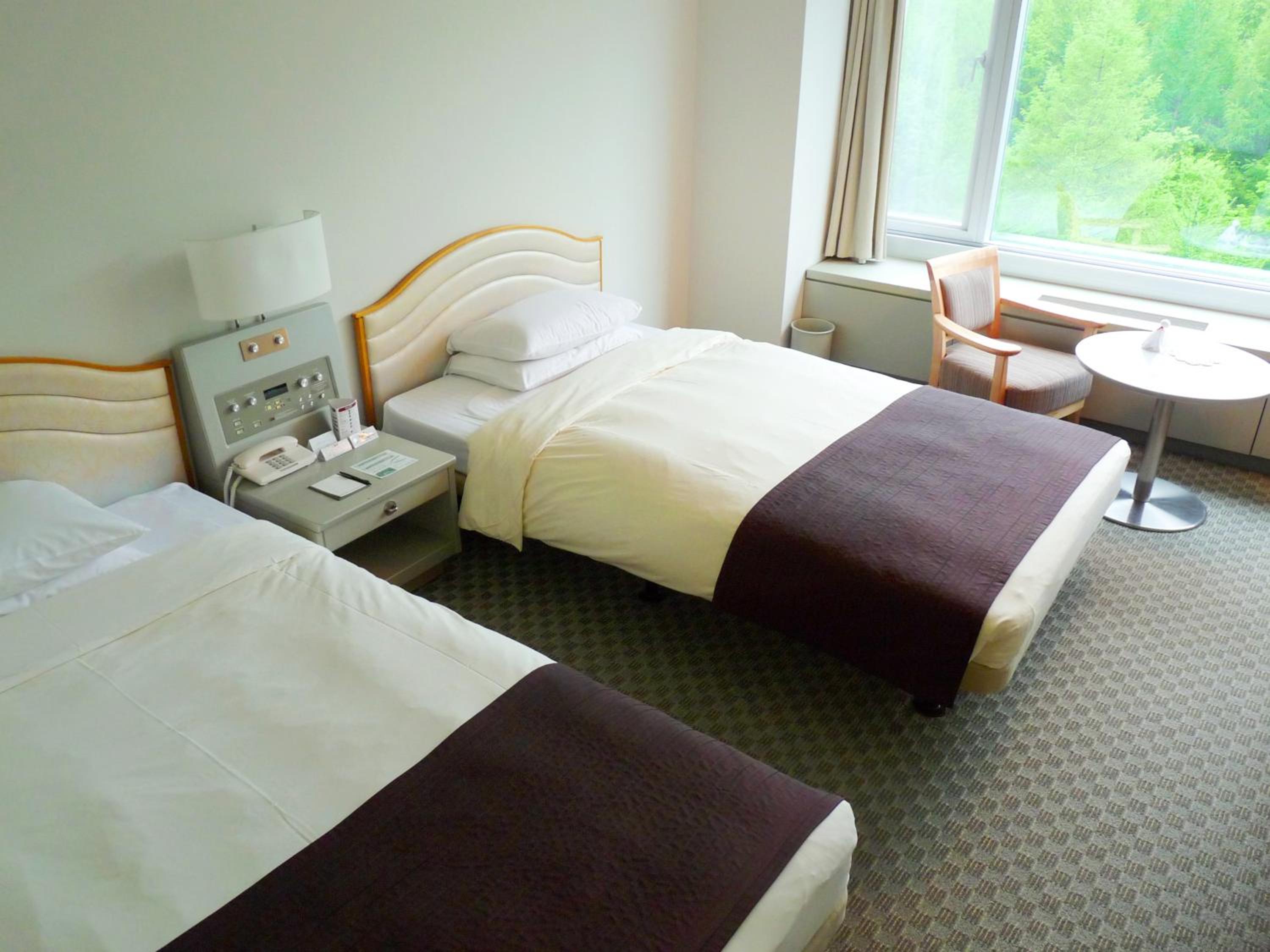 Twin Room with Mt.Tokachi View - Upper Floor  - Smoking - Photo 5
