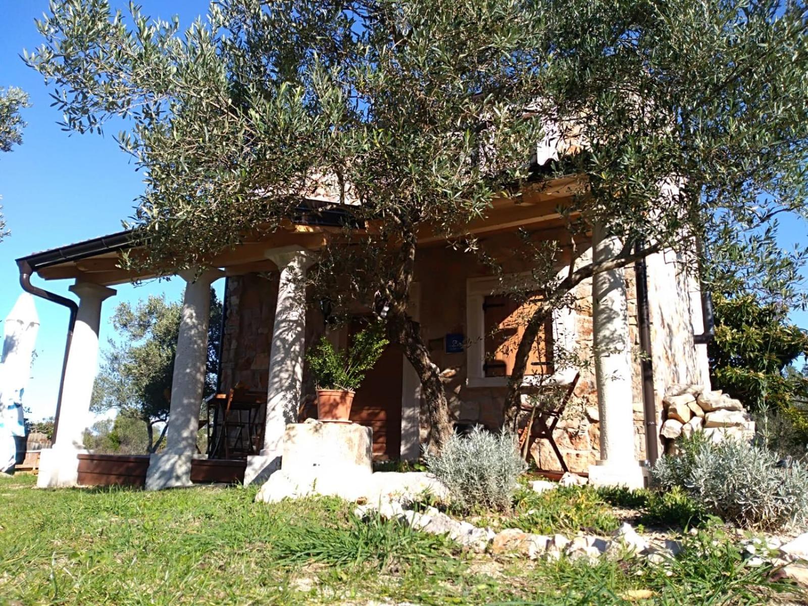 Vacation Home photo 3