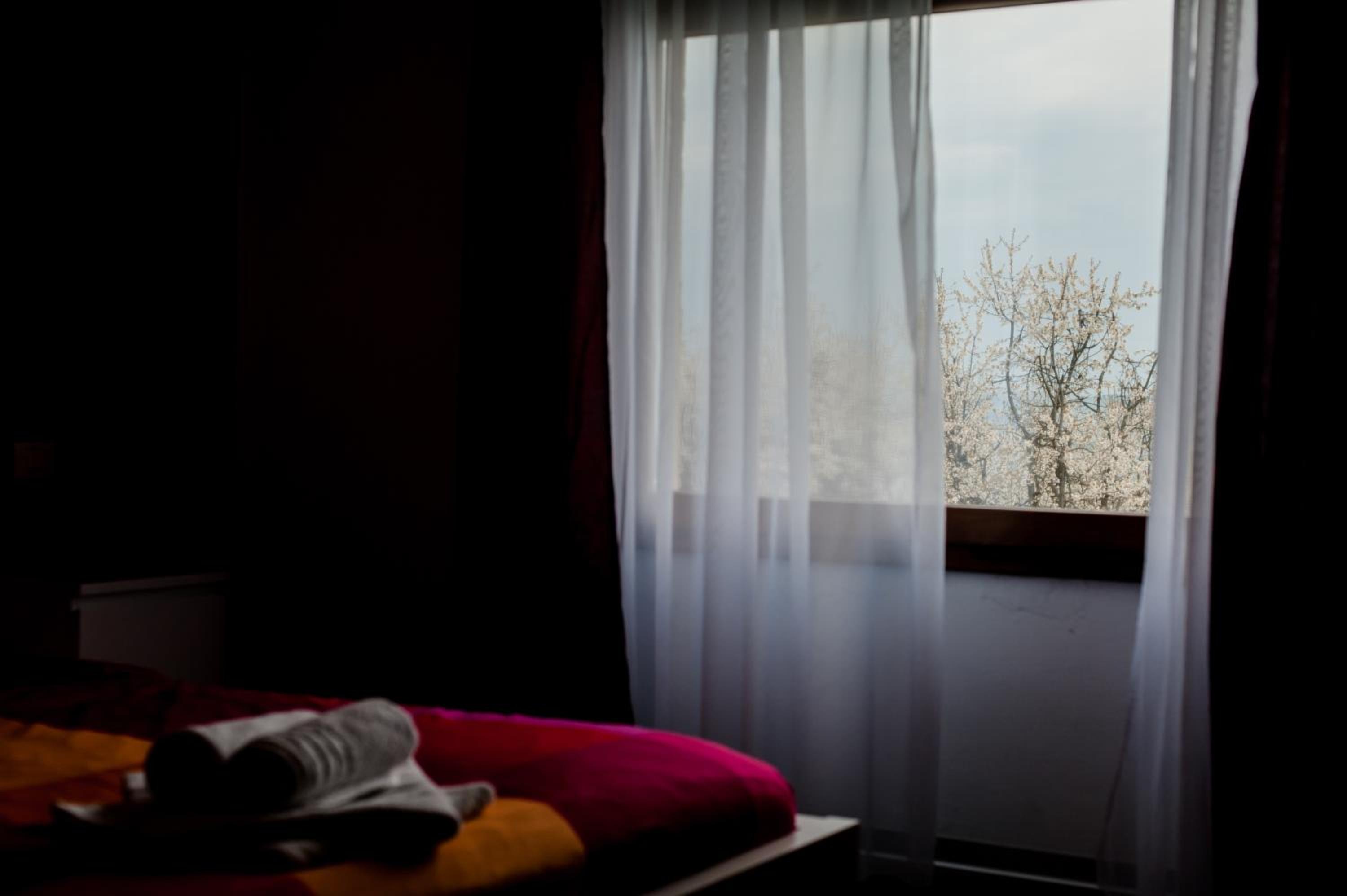 Twin Room photo 3
