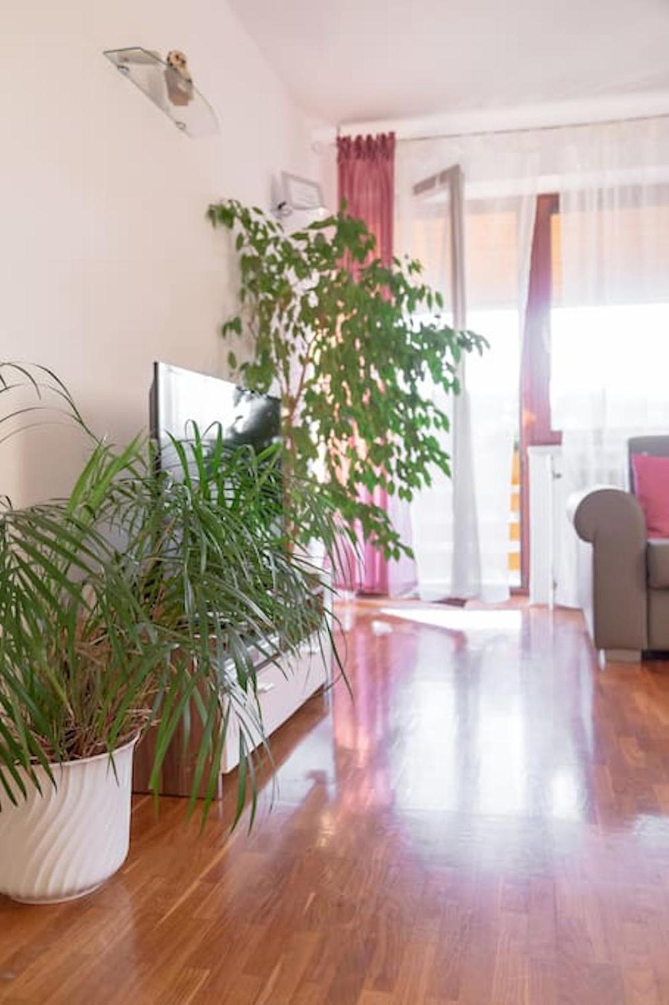 Superior Two-Bedroom Apartment with Balcony - Photo 17