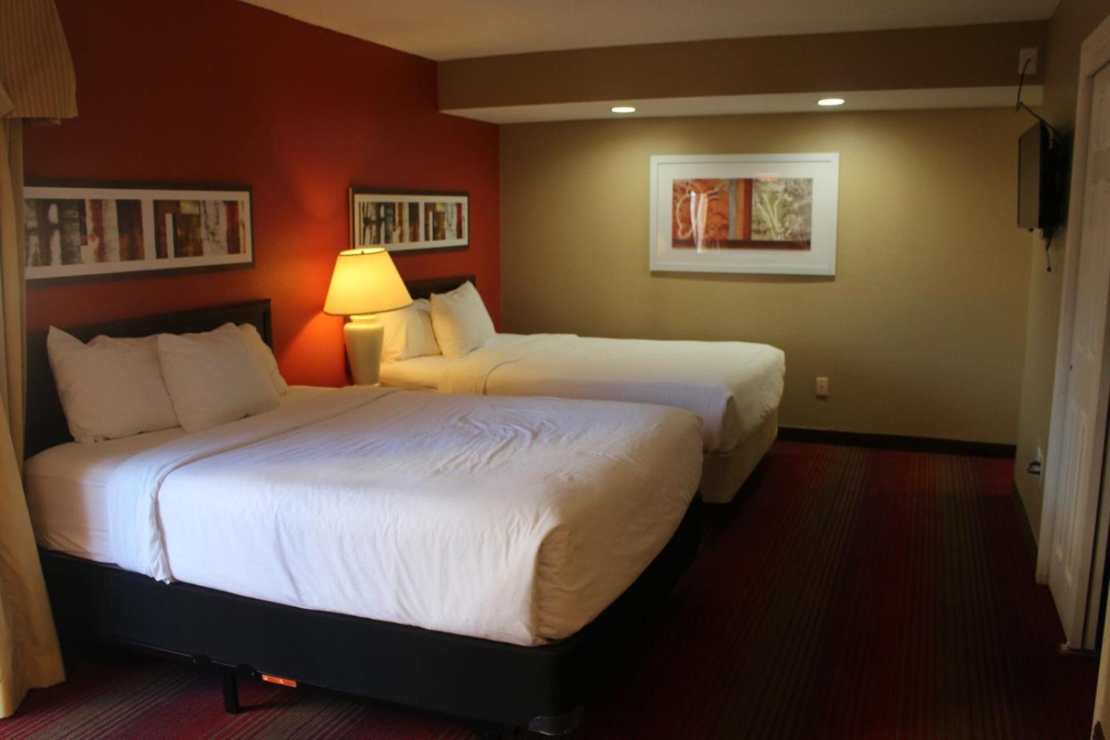 2 Queen Beds, Studio, Suite, Non-Smoking - Photo 1