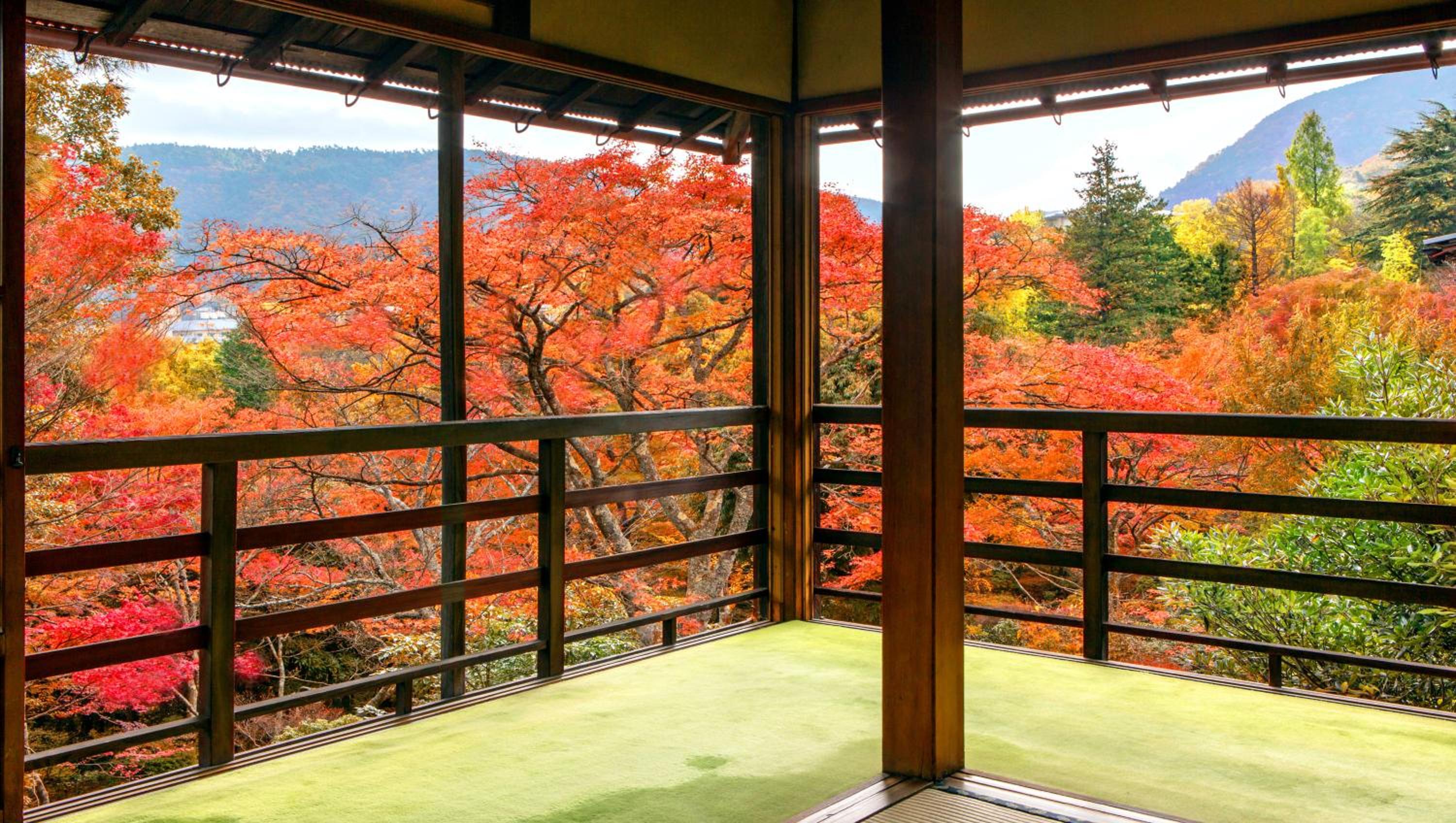 Japanese-Style Superior Room with Hot Spring Bath
