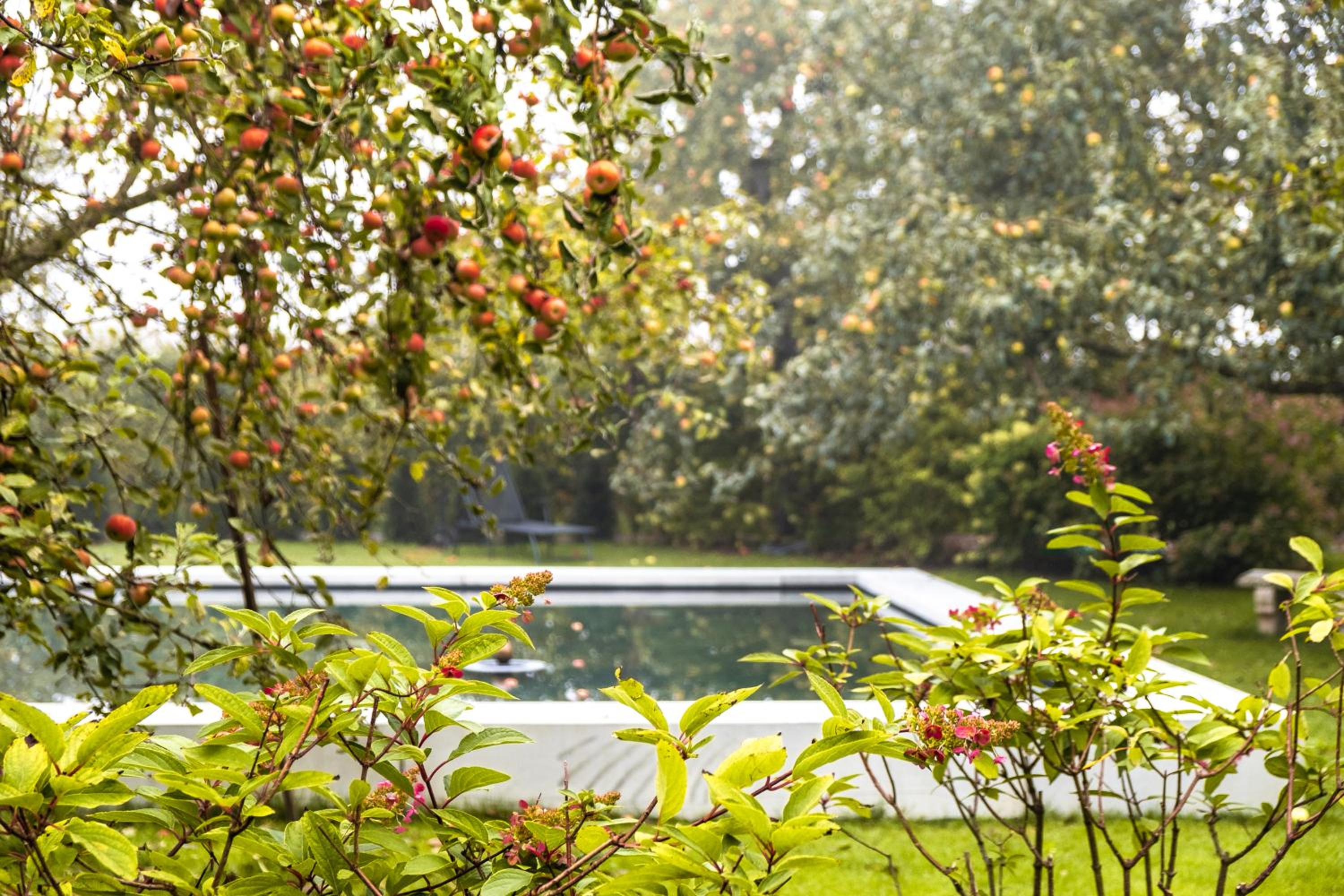 Deluxe Double Room with Garden View - Photo 12