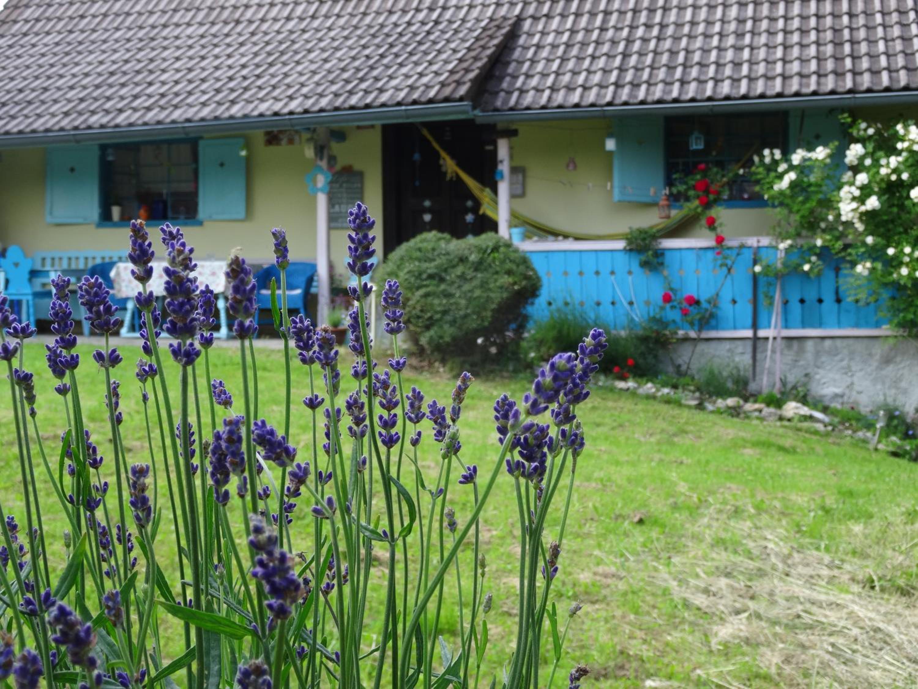 Vacation Home photo 1