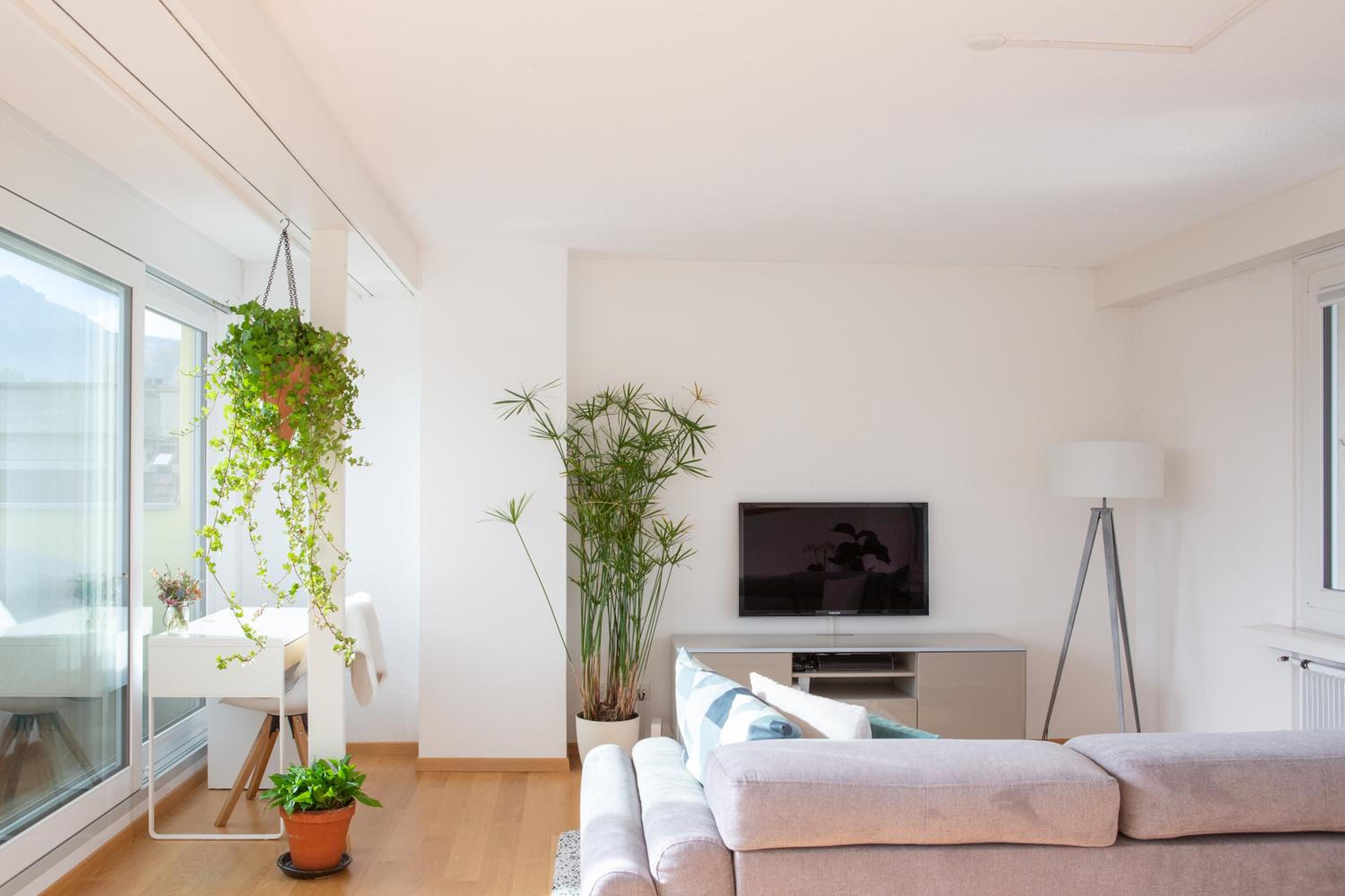 Penthouse Apartment photo 2