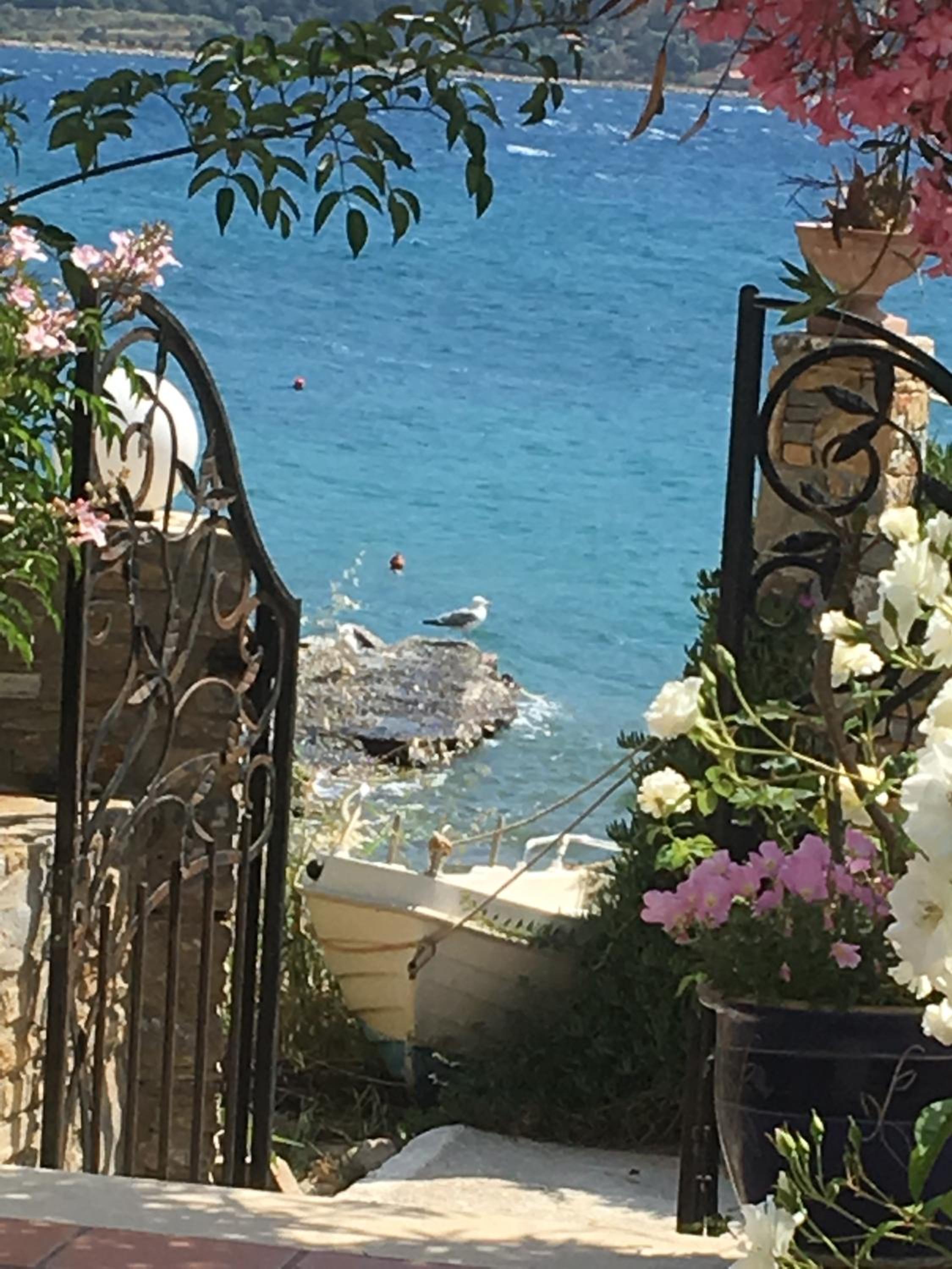 Studio with Sea View photo 2