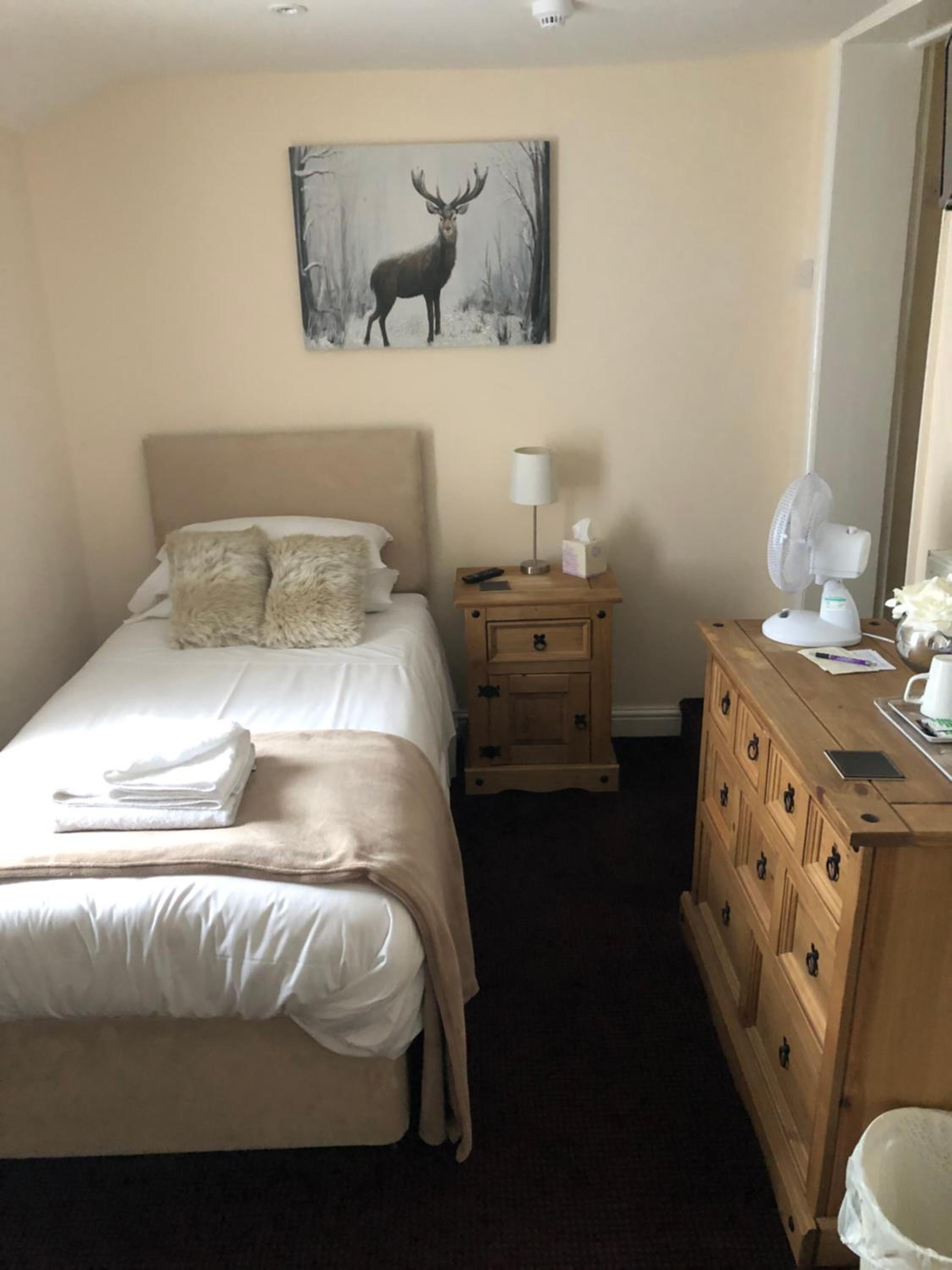 Single Room photo 1