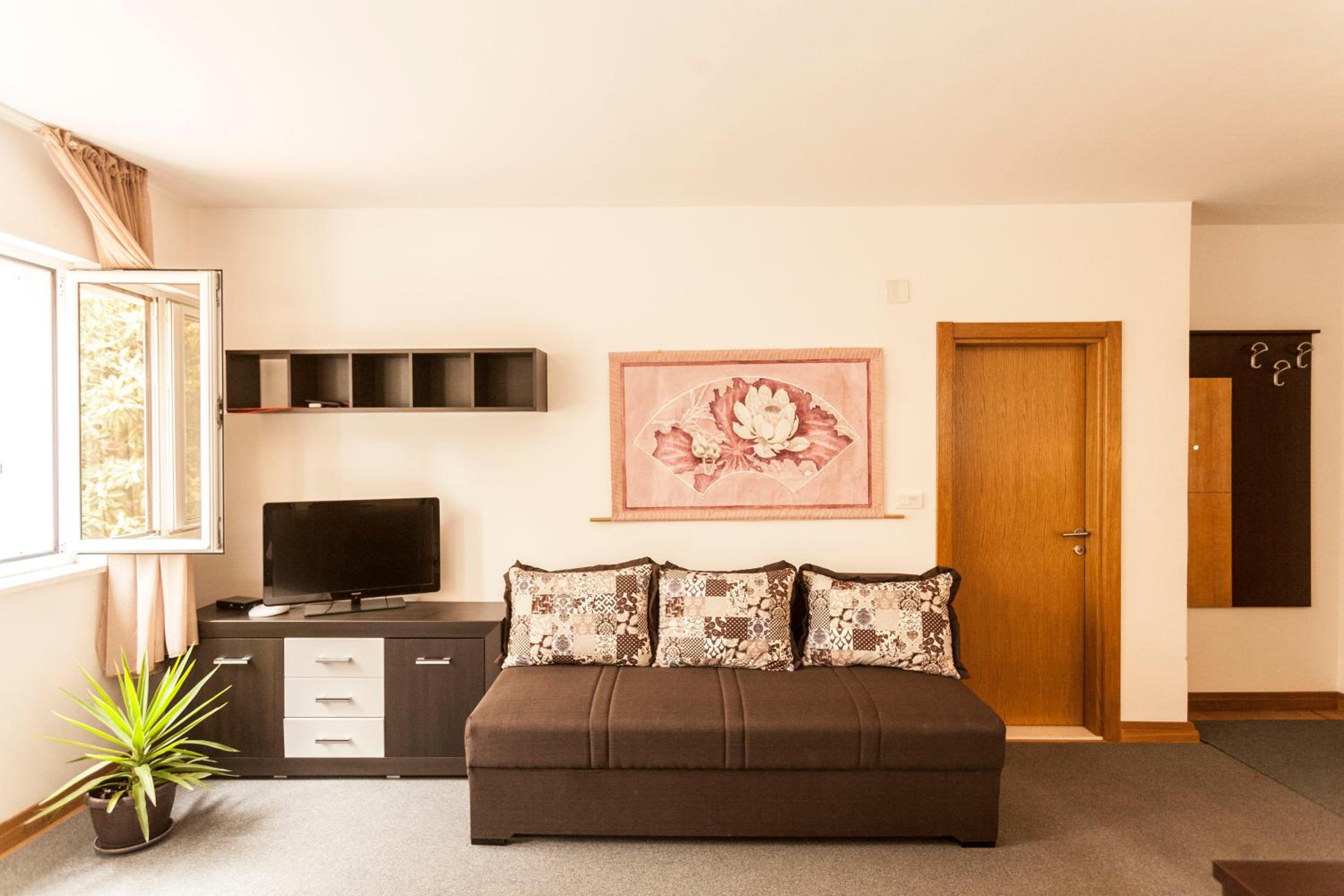 Studio with Sofa Bed