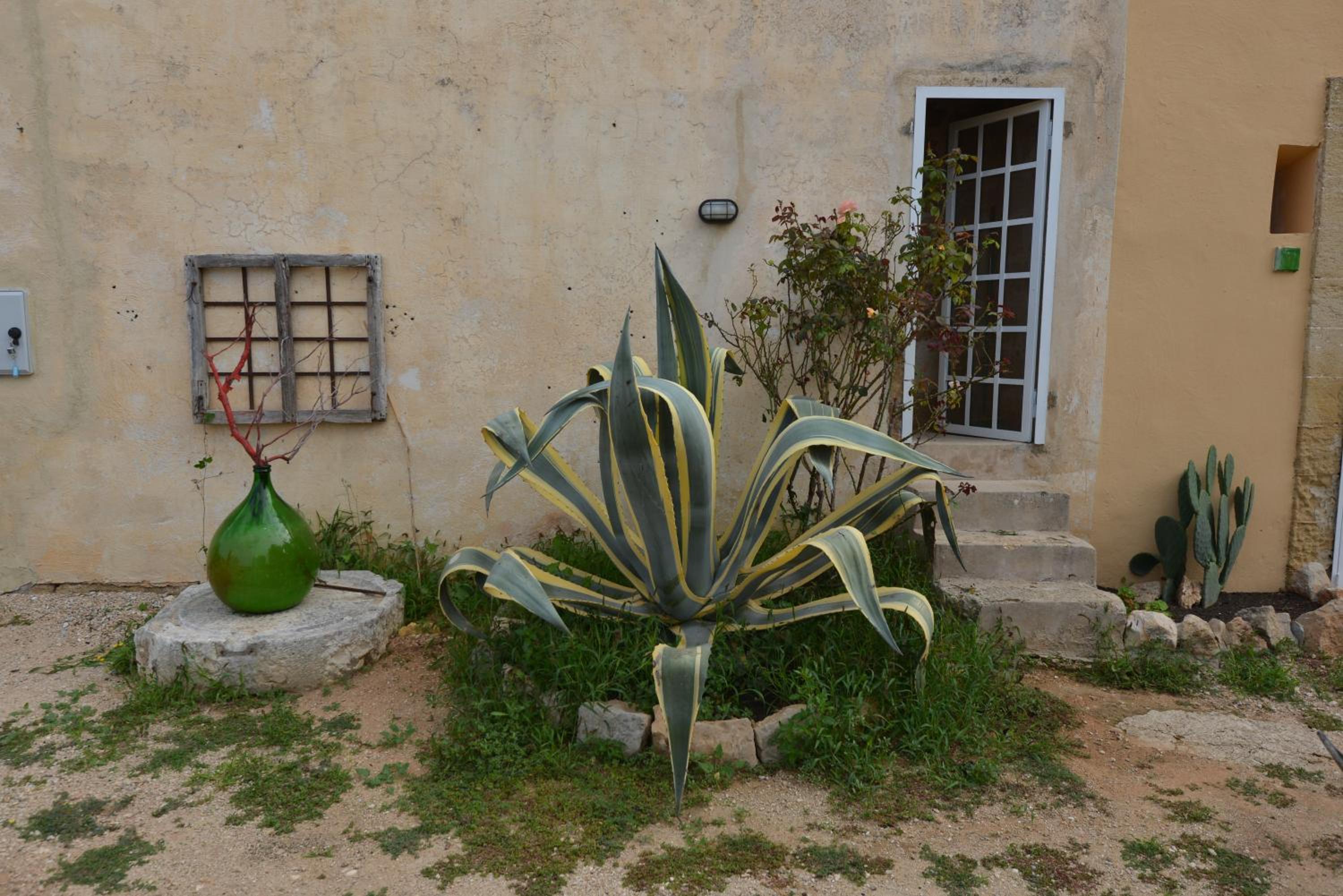 Studio with Terrace (2 Adults) photo 2