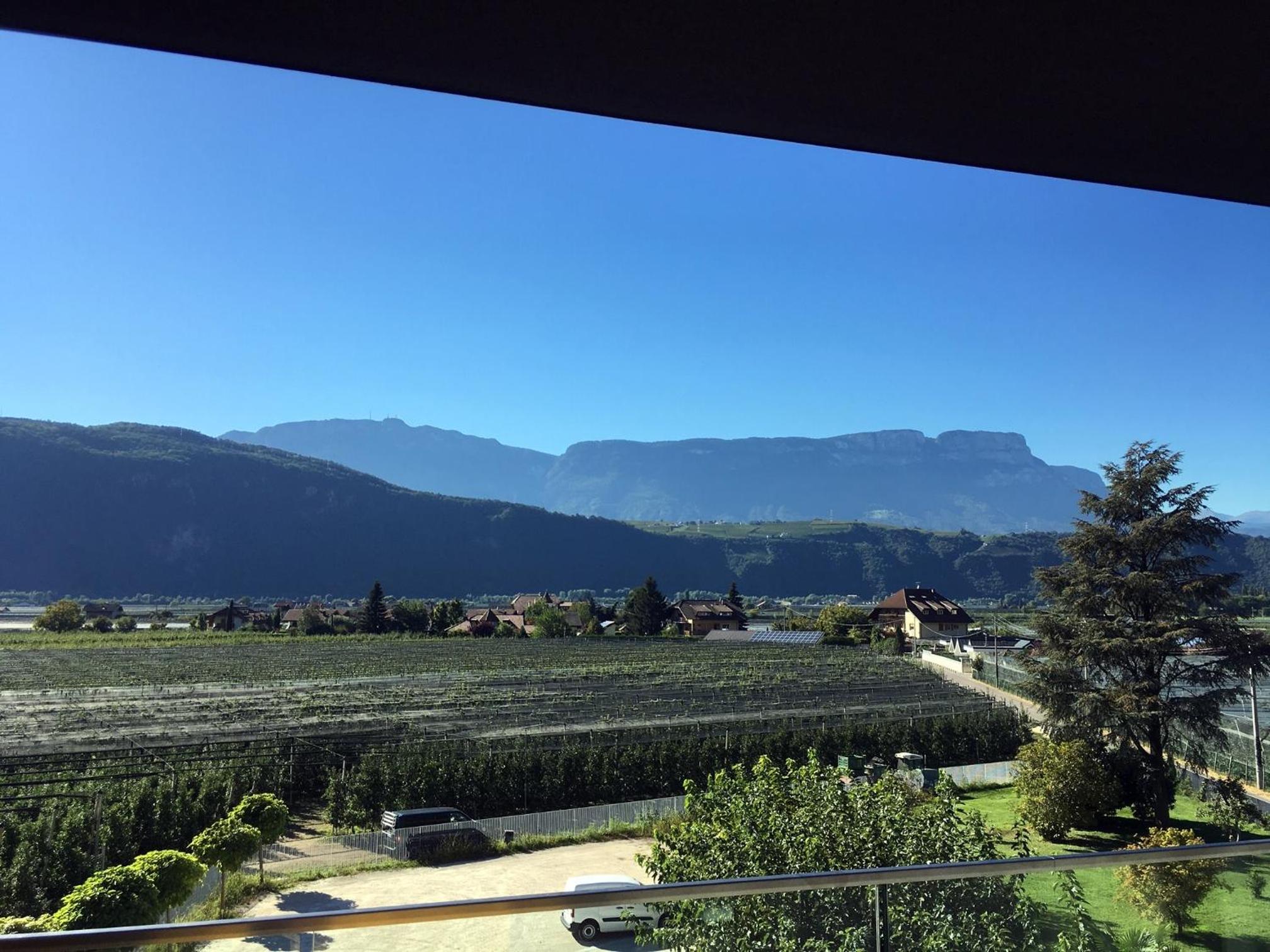 Deluxe Double or Twin Room with Garden View - Photo 6