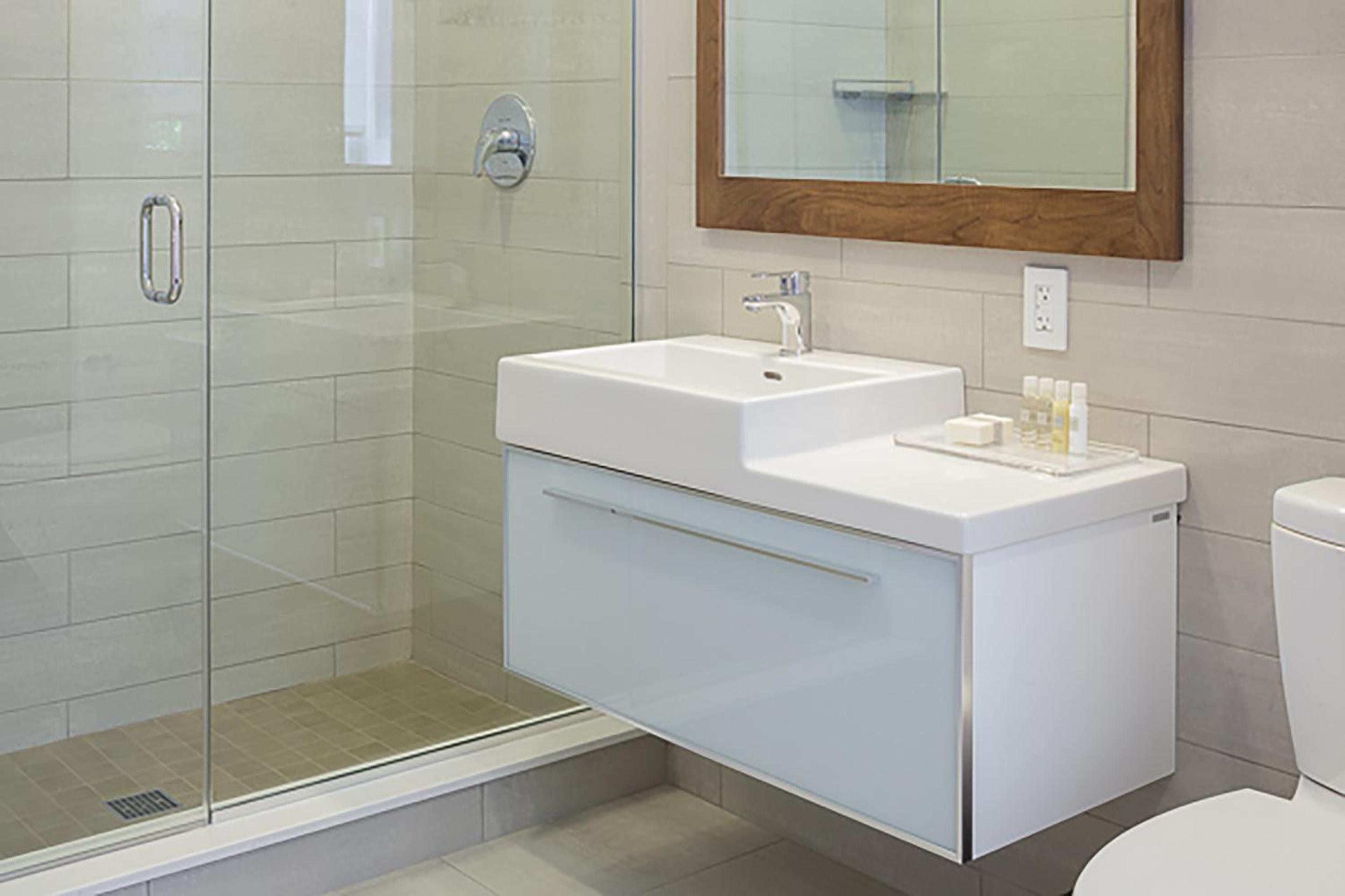 Revolution Loft Accessible Queen Room Bathroom in Room
