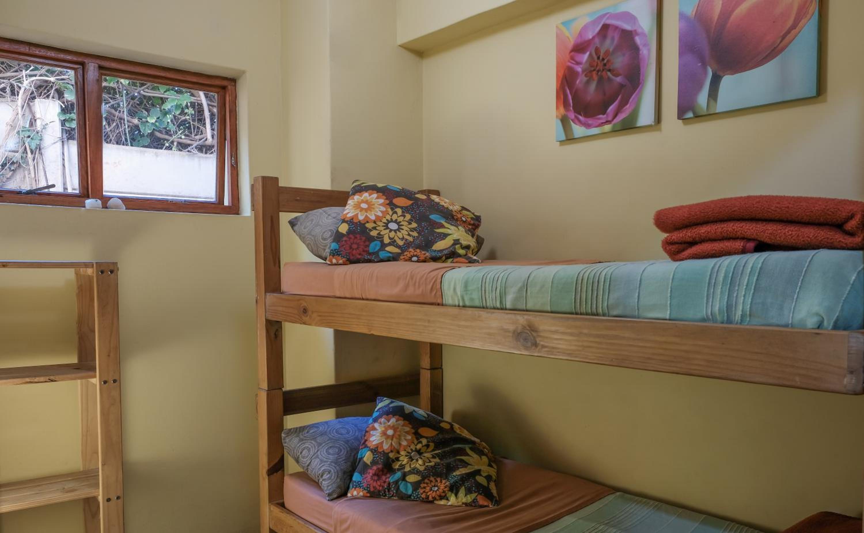 Standard Twin Room with Shared Bathroom photo 1