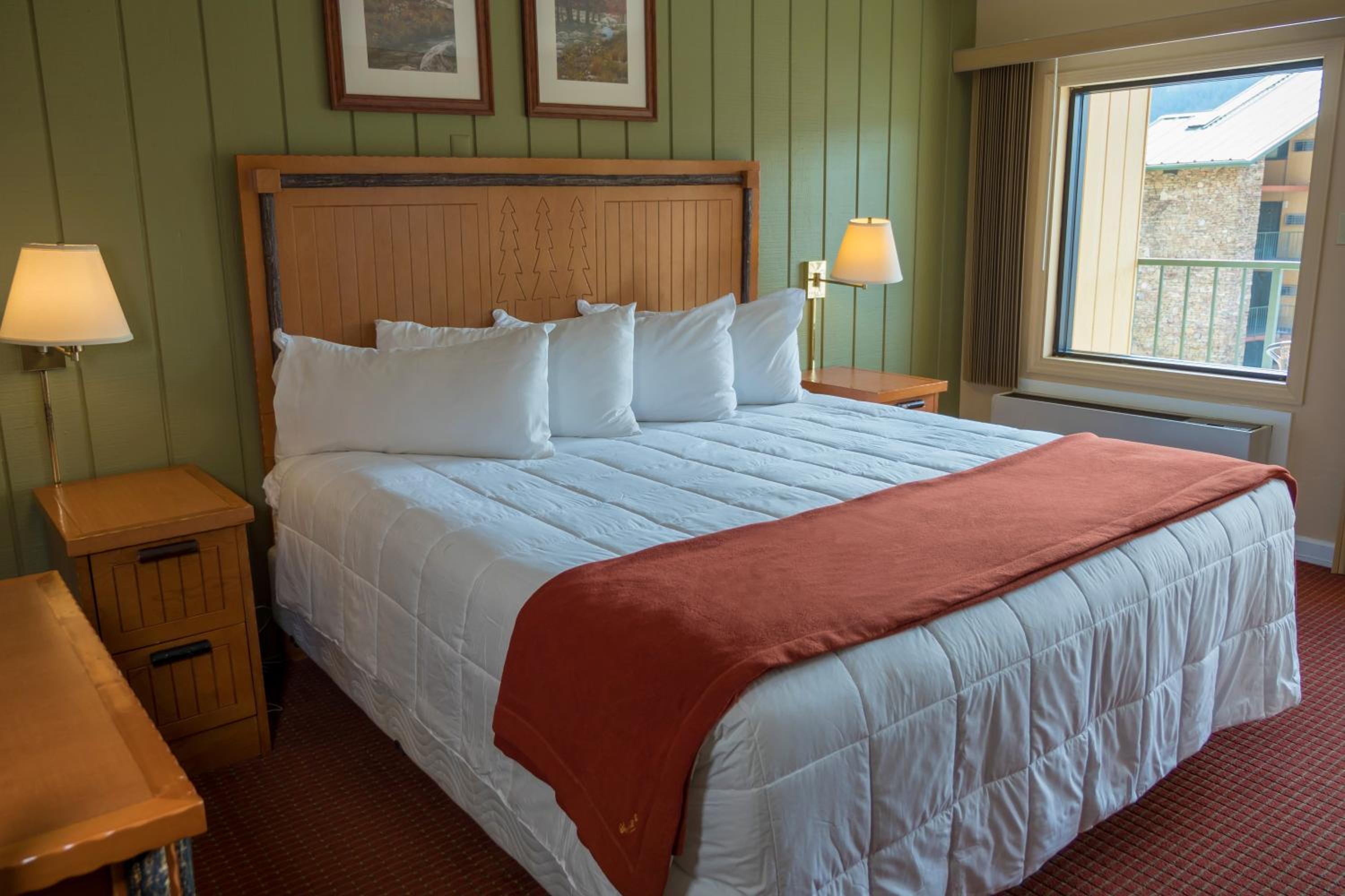 Standard 1 King Bed Guestroom