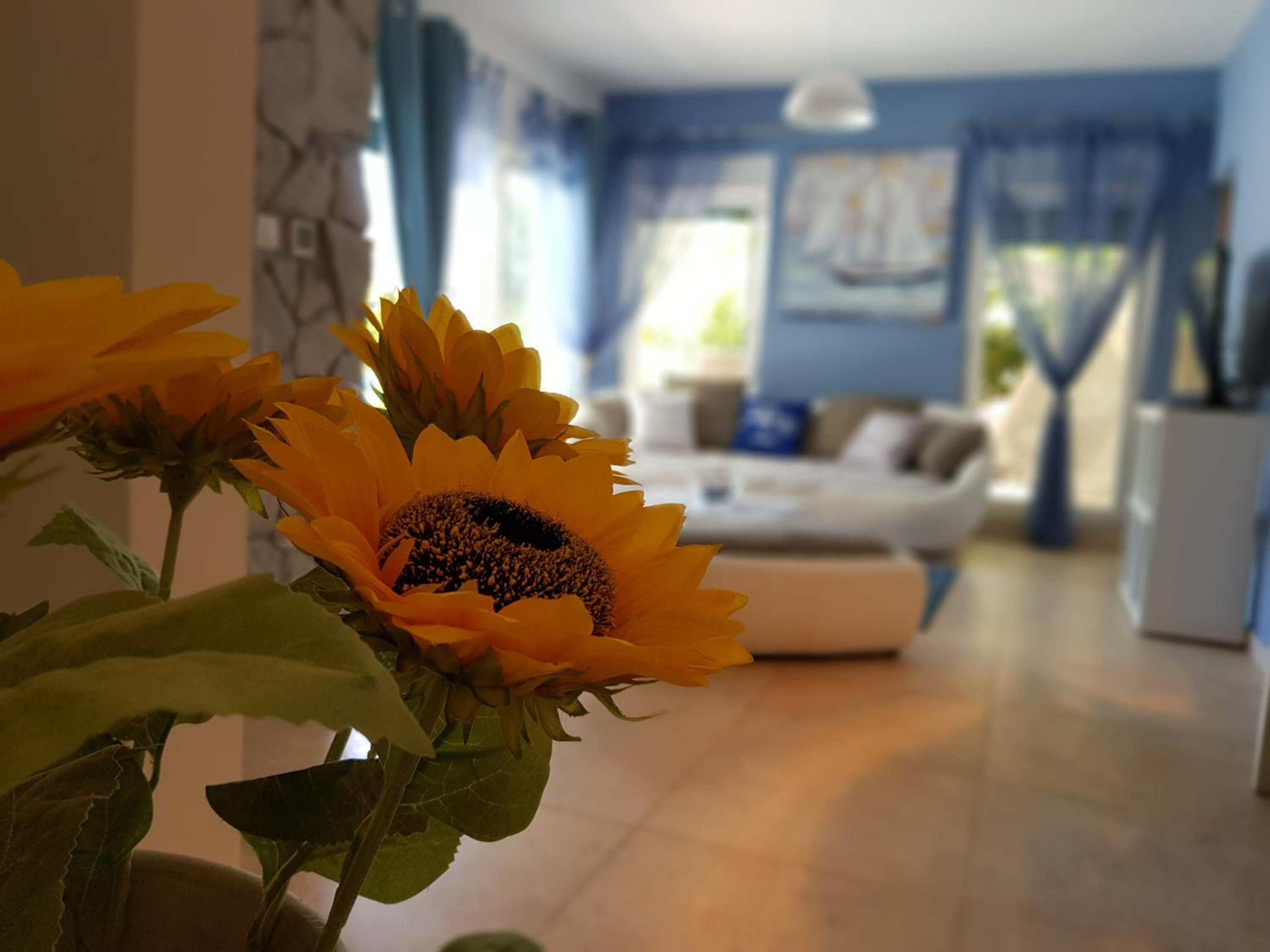 Apartment photo 1