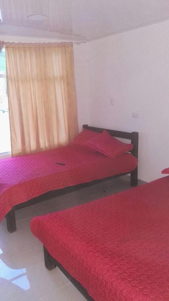 Double Room with Two Double Beds photo 1