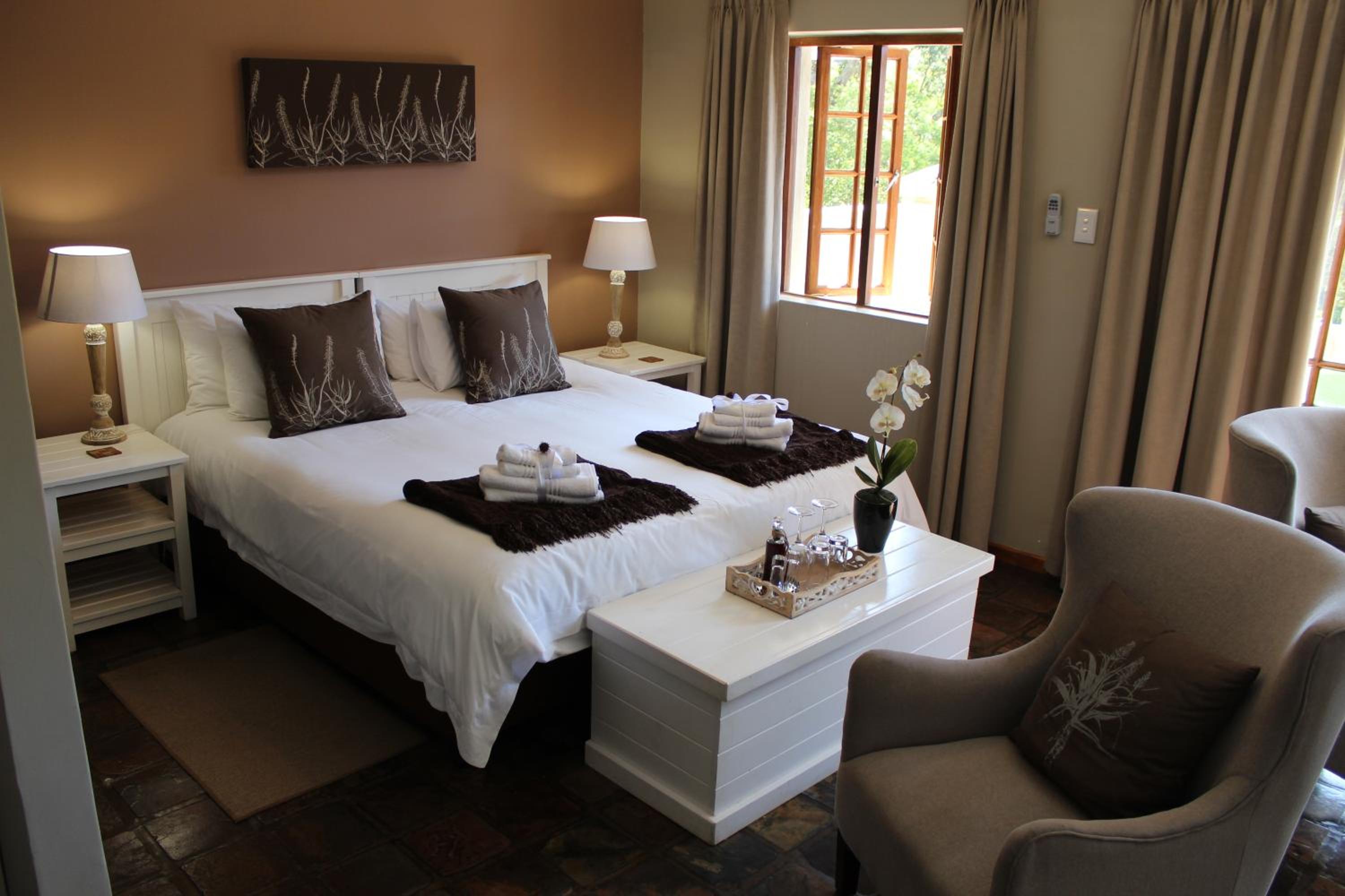 Suite - Photo 1