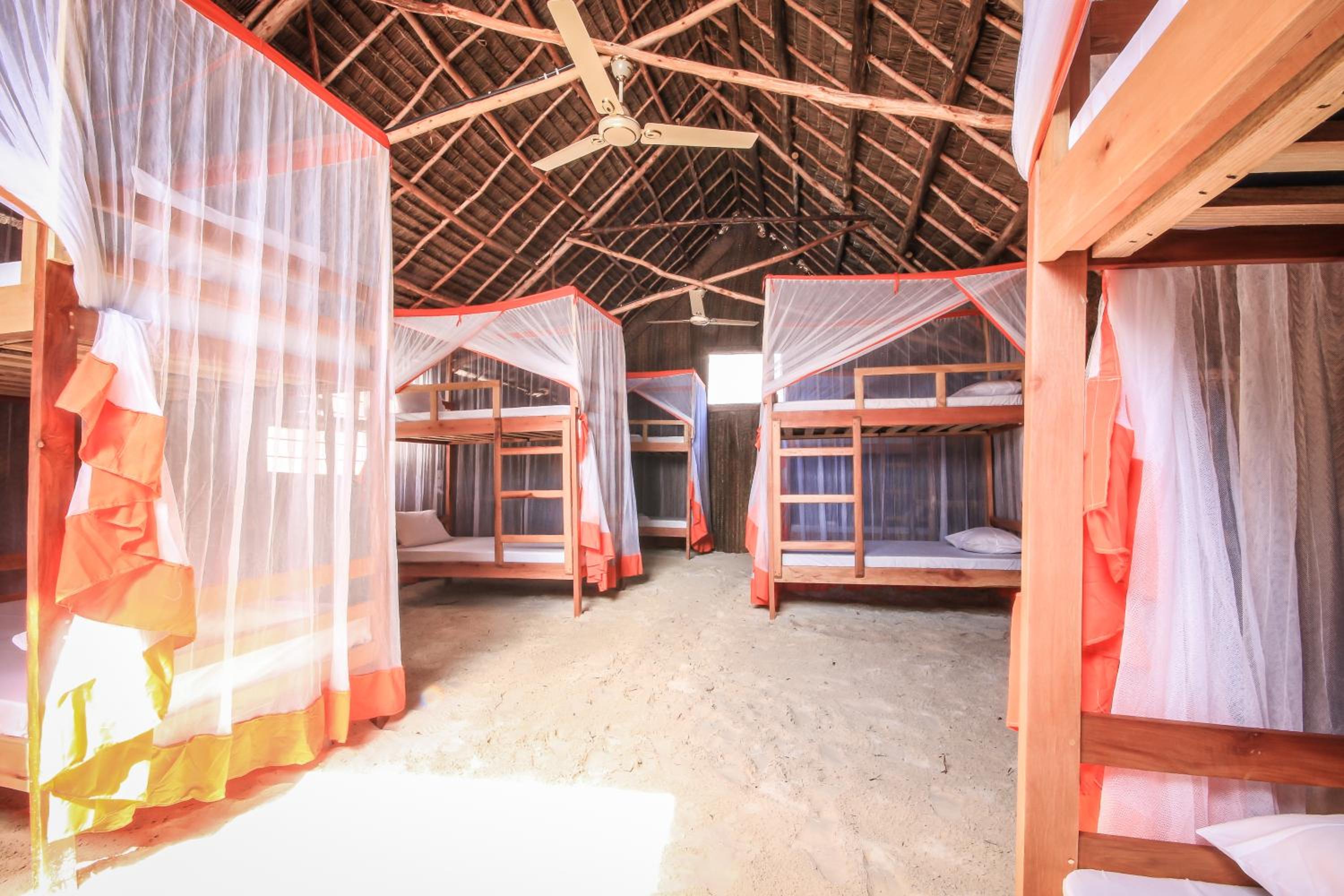 Single Bed In Mixed Dormitory Room photo 1