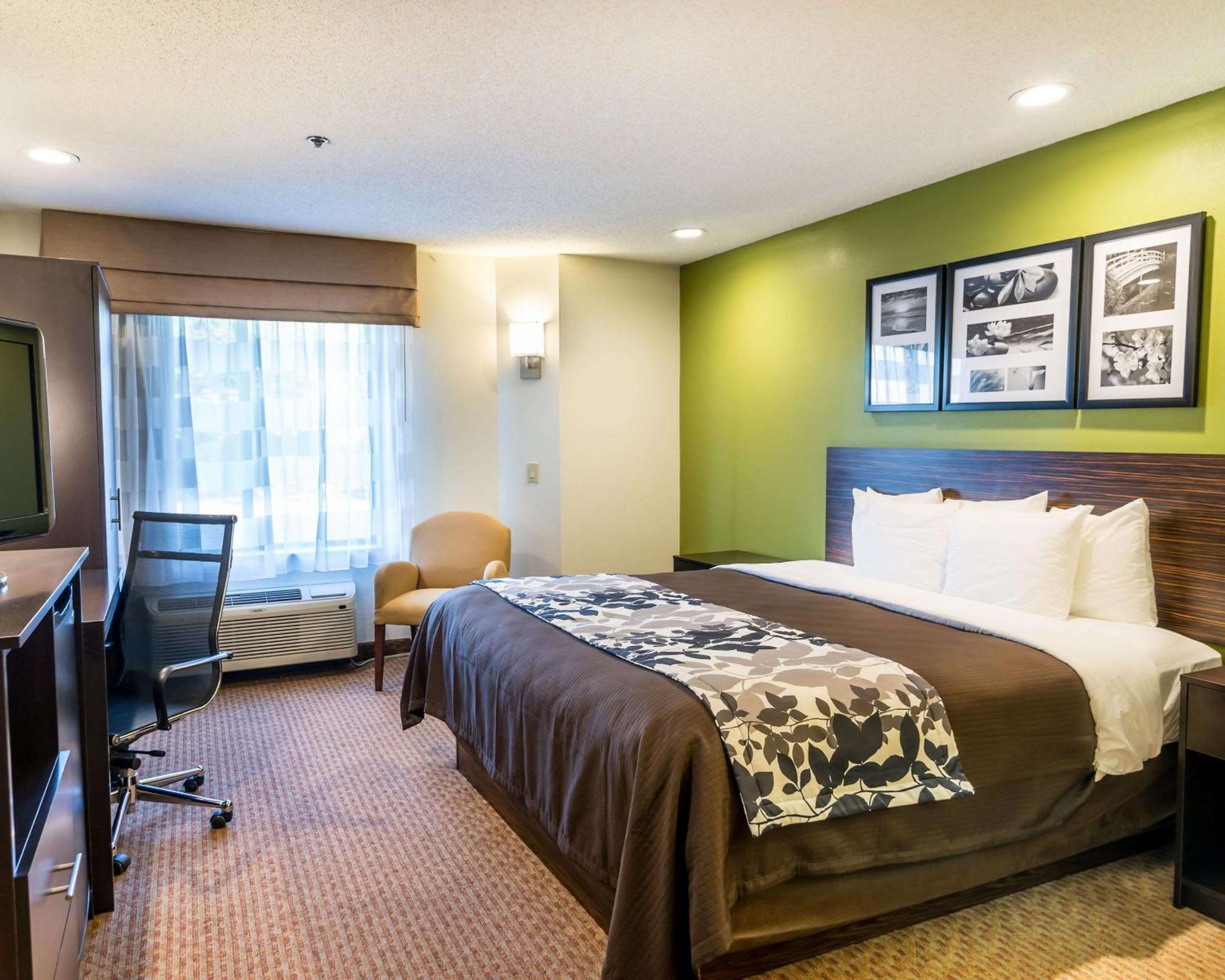 King Room - Non-Smoking - Photo 3
