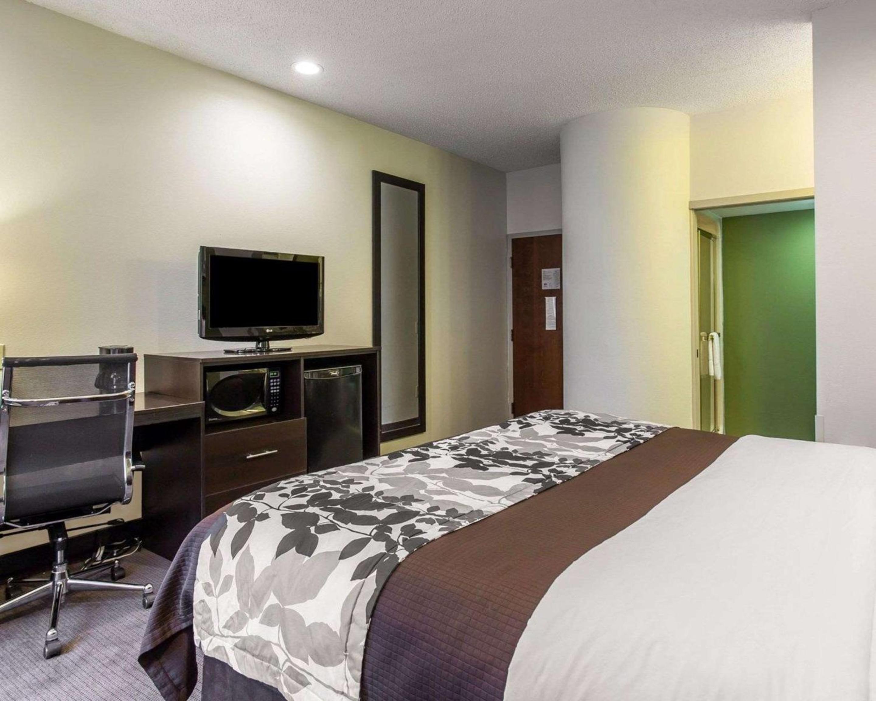 King Room - Non-Smoking - Photo 4