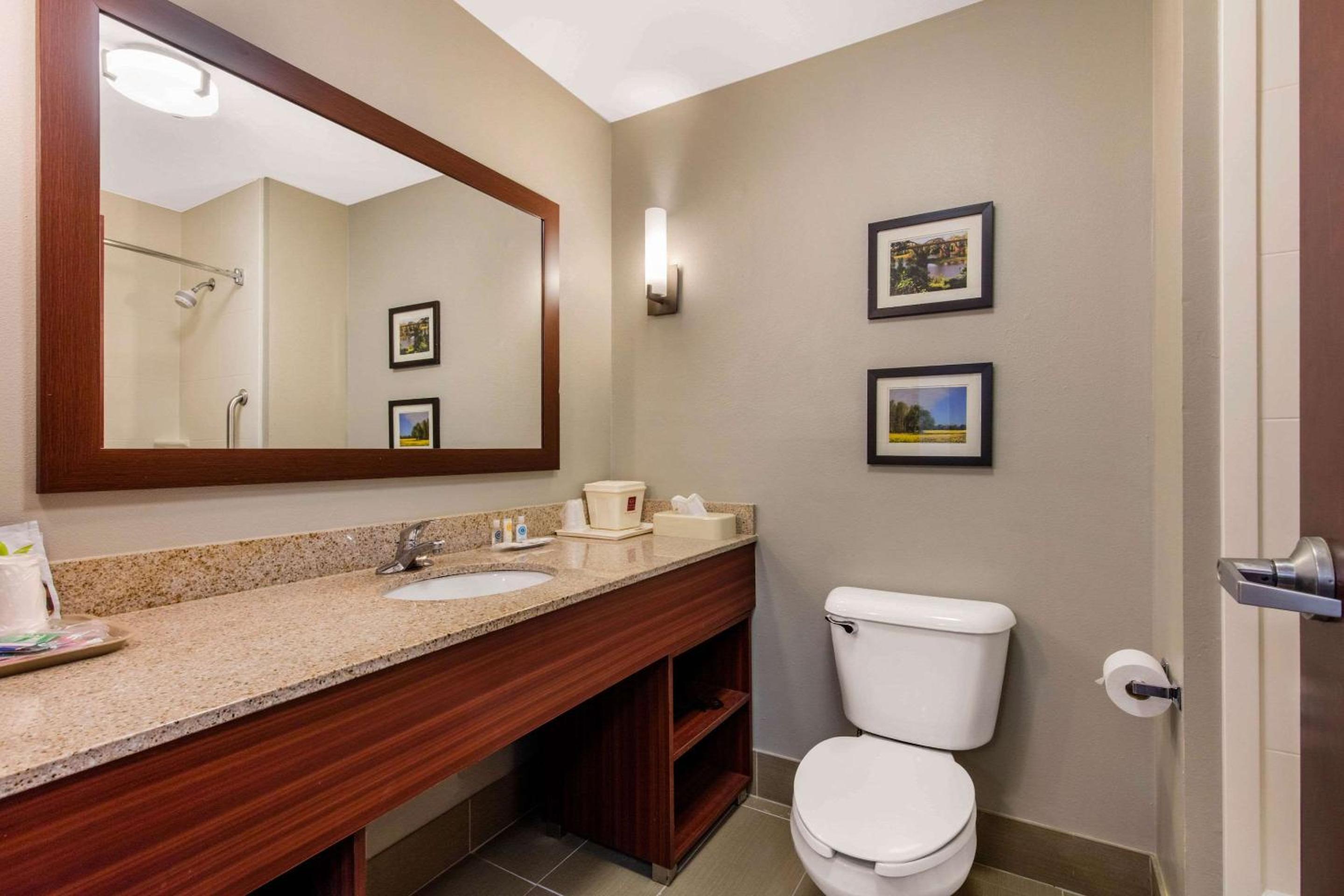King Suite - Non-Smoking - Photo 7