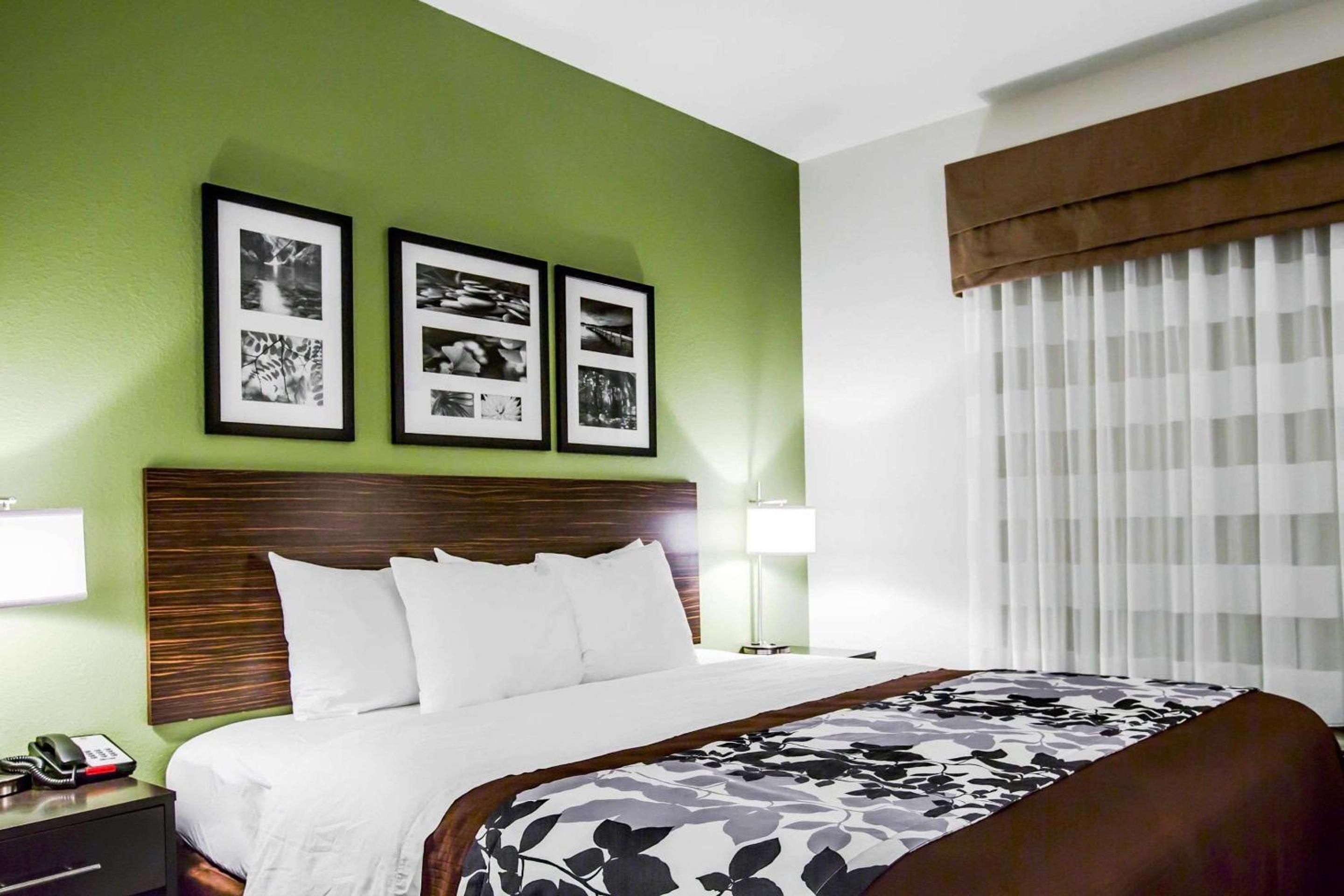 King Suite - Non-Smoking - Photo 4