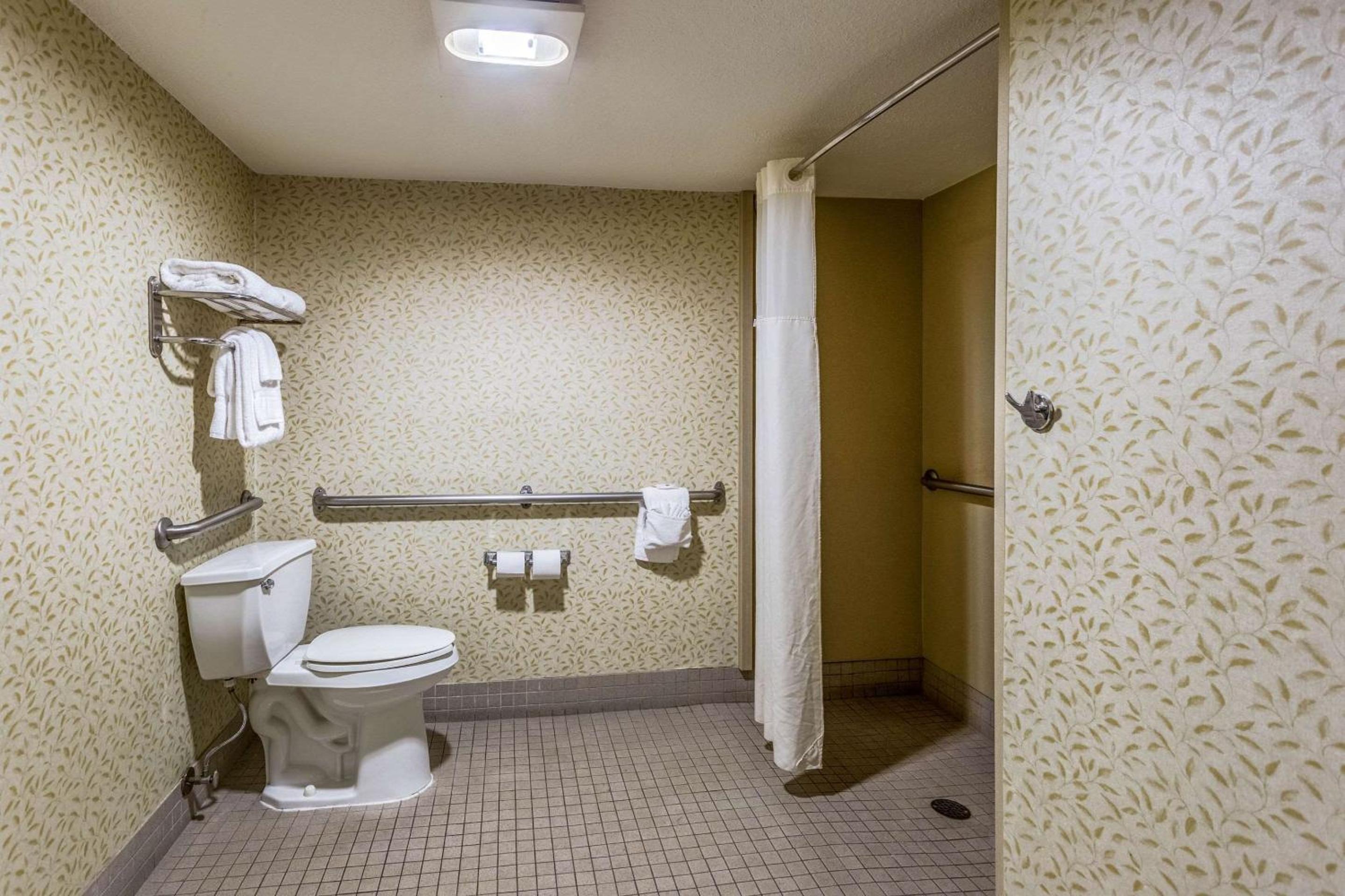 Queen Room with Roll-In Shower - Accessible/Non-Smoking - Photo 3