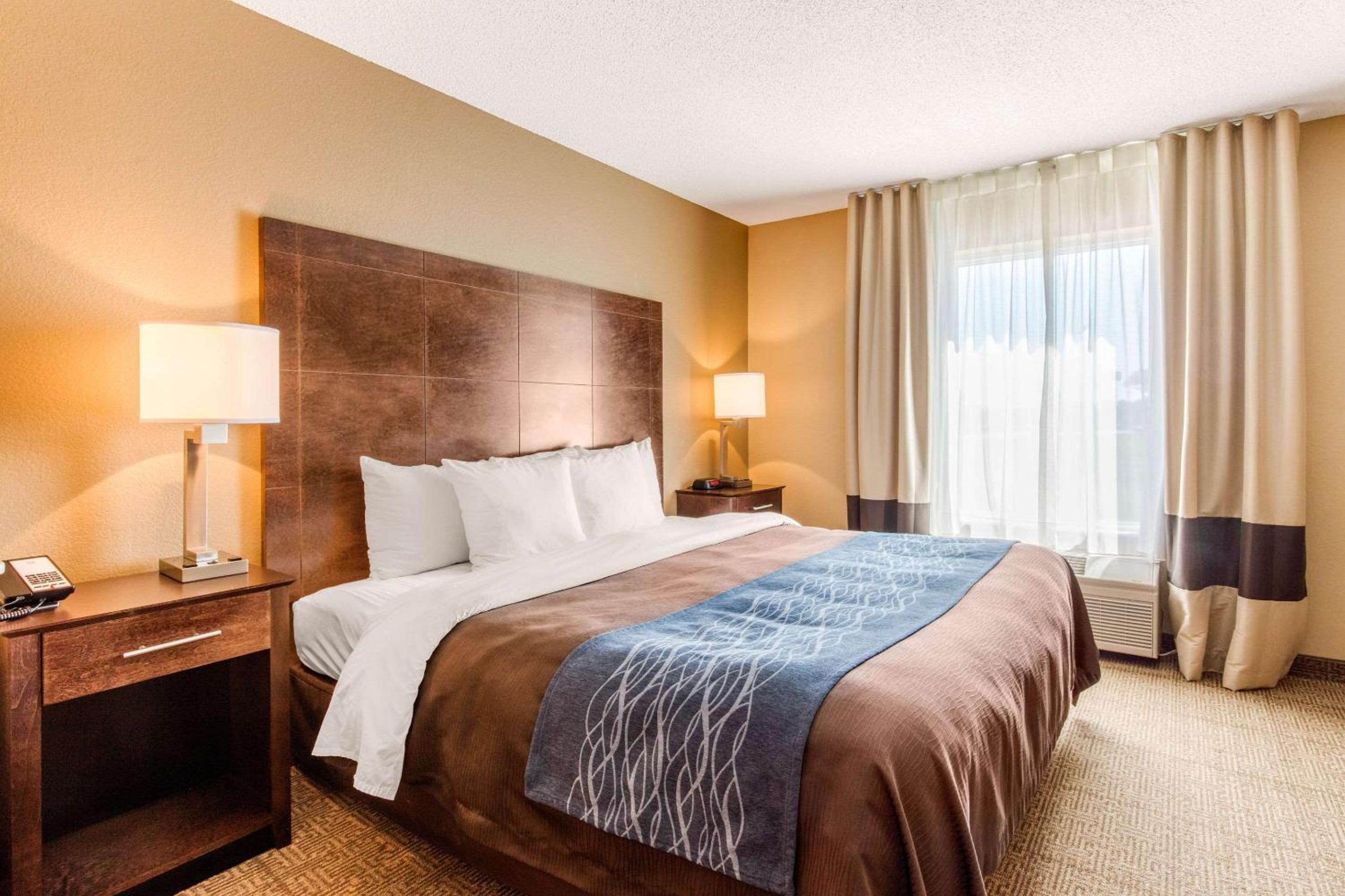 King Suite with Sofa Bed - Photo 1