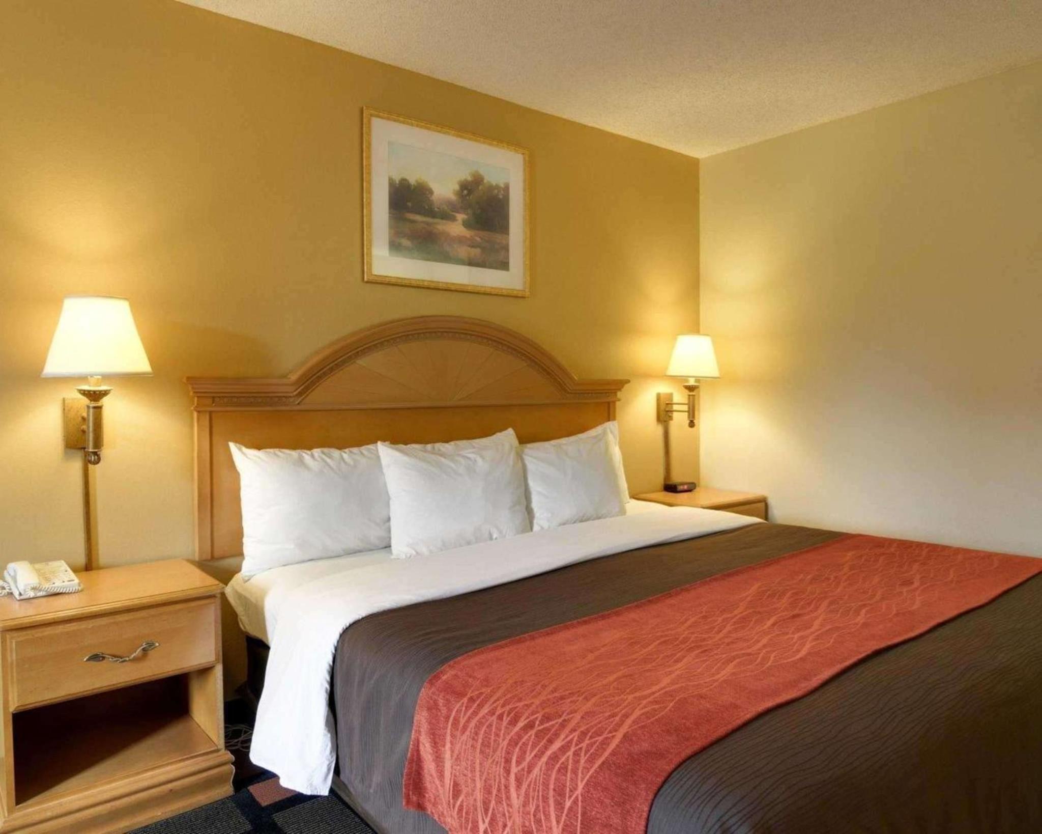 King Room - Non-Smoking - Photo 2