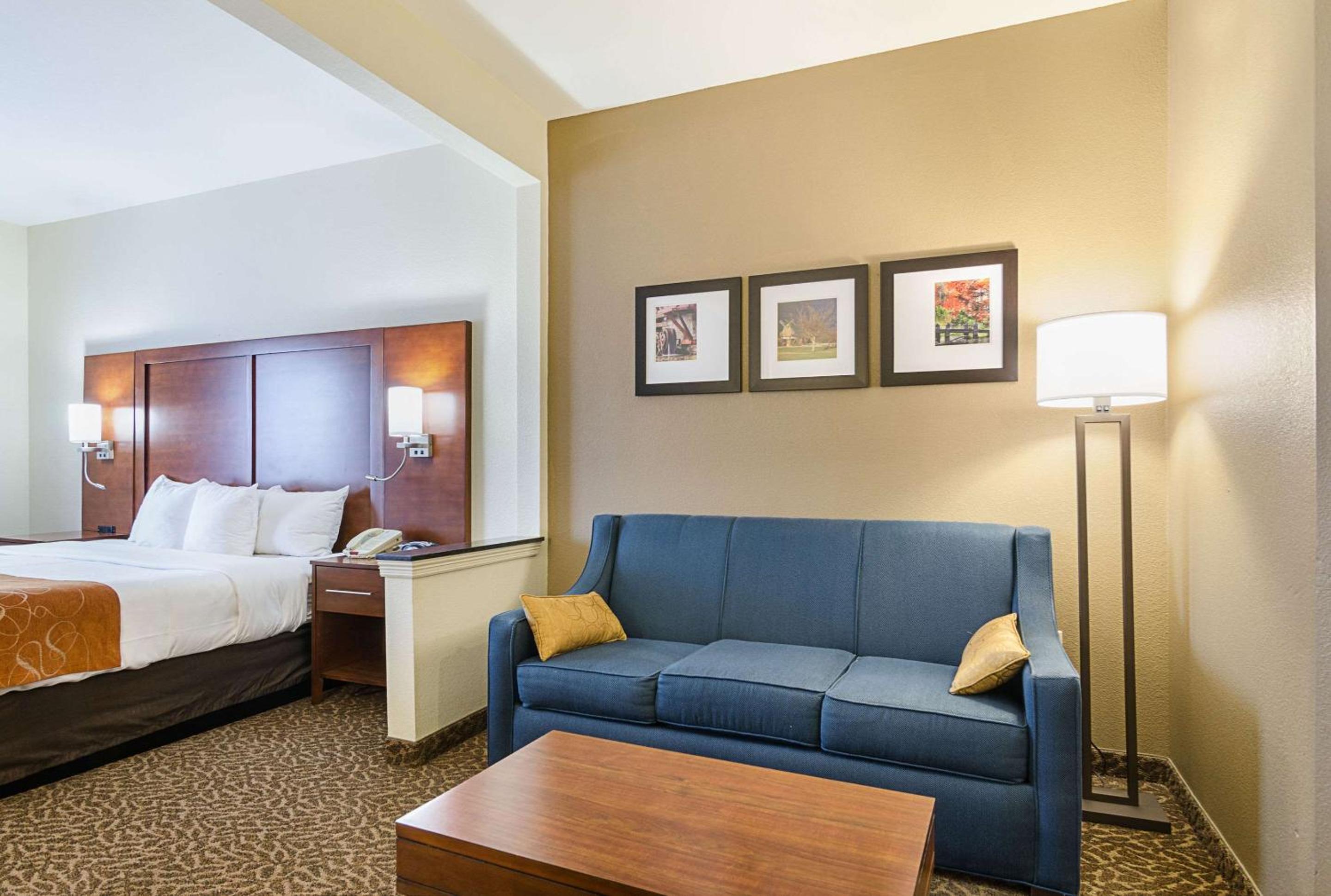 King Suite photo 3