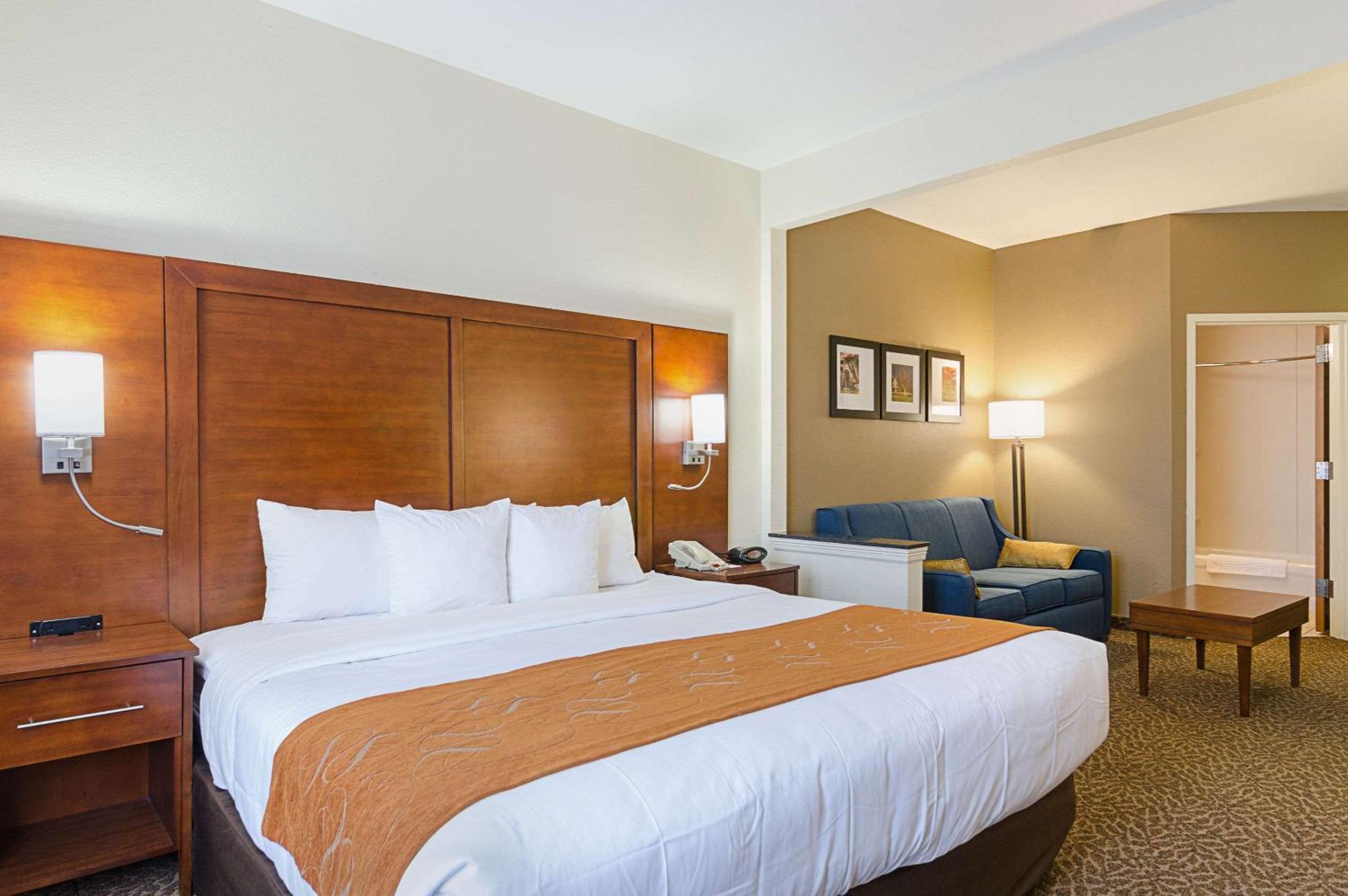 King Suite photo 1