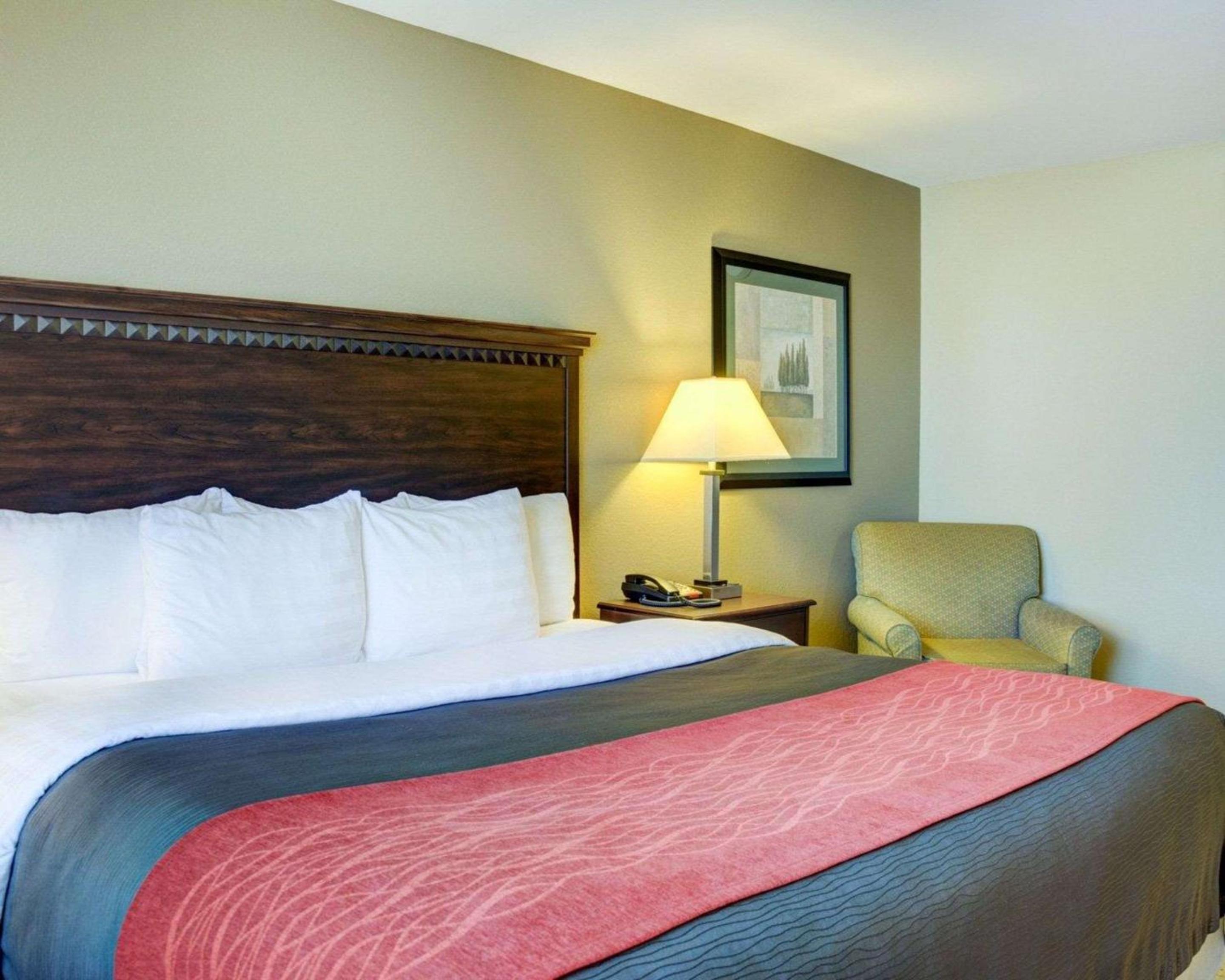 King Room - Non-Smoking - Photo 1